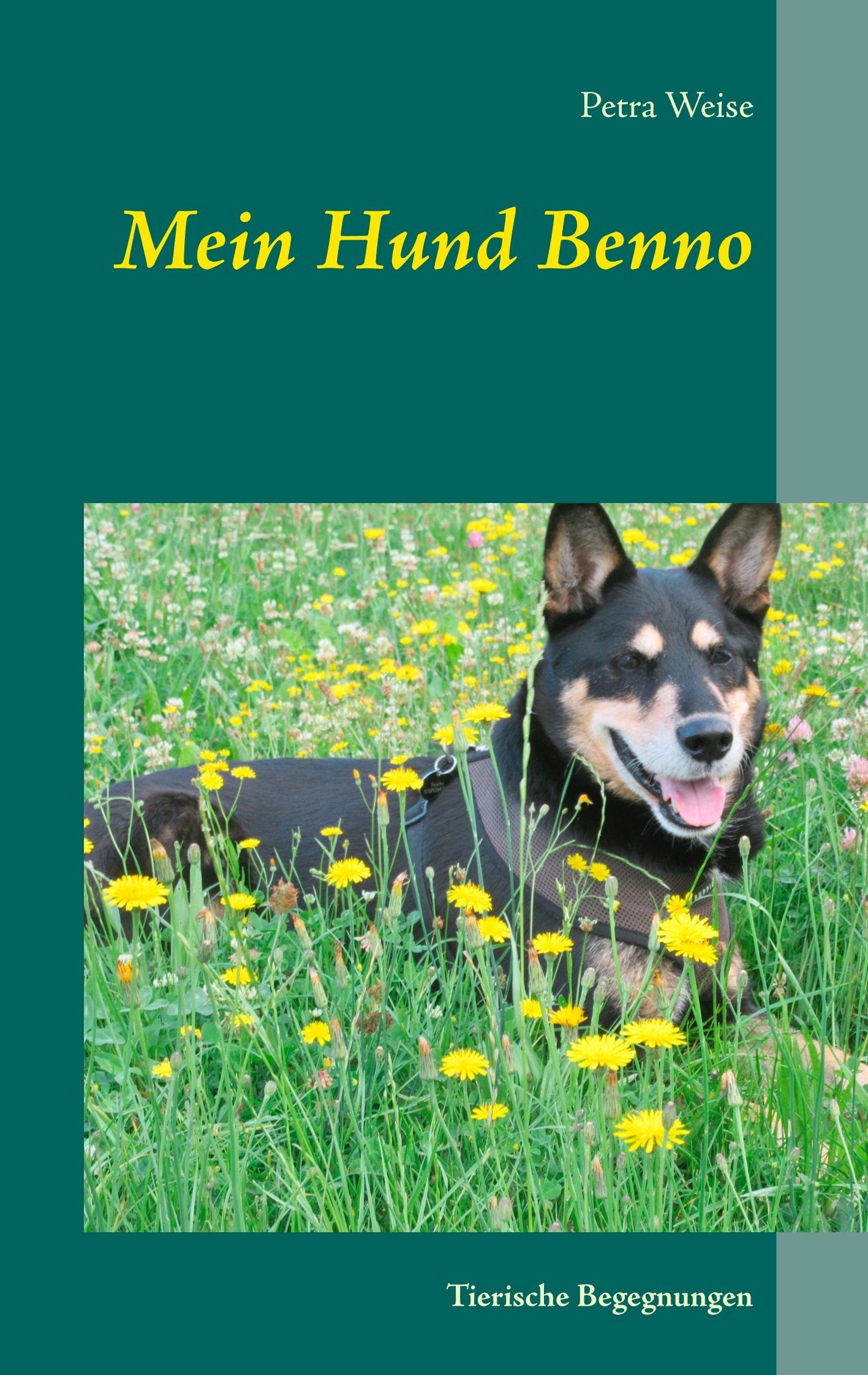Mein Hund Benno: Tierische Begegnungen Contemporary literature