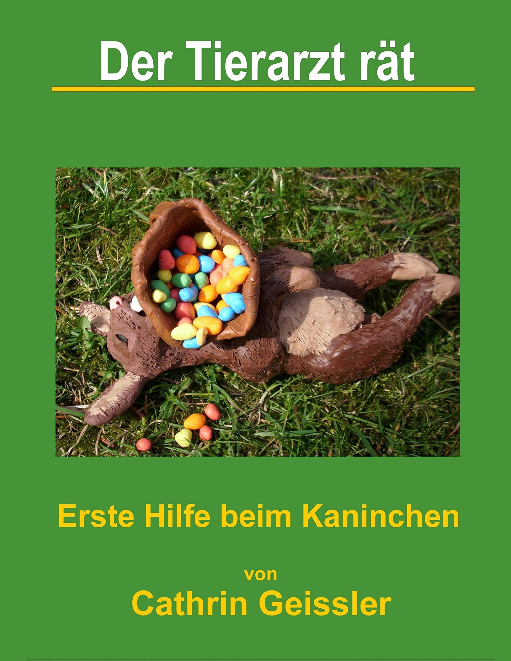 Der Tierarzt rät - Erste Hilfe beim Kaninchen Pets