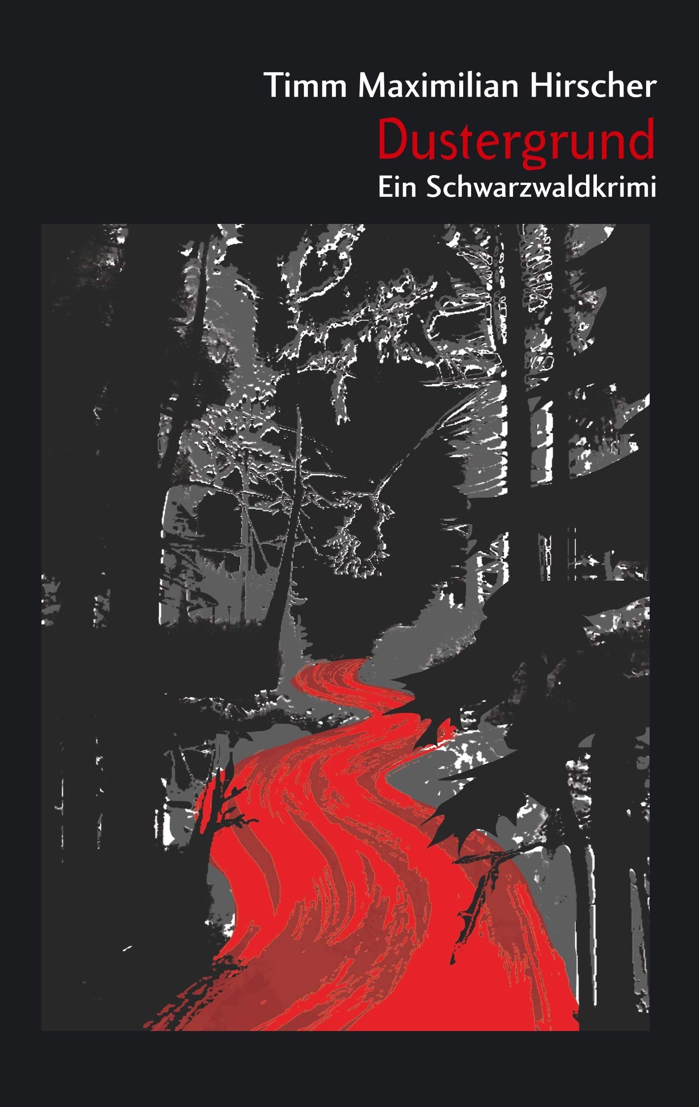 Dustergrund: Ein Schwarzwaldkrimi Contemporary literature