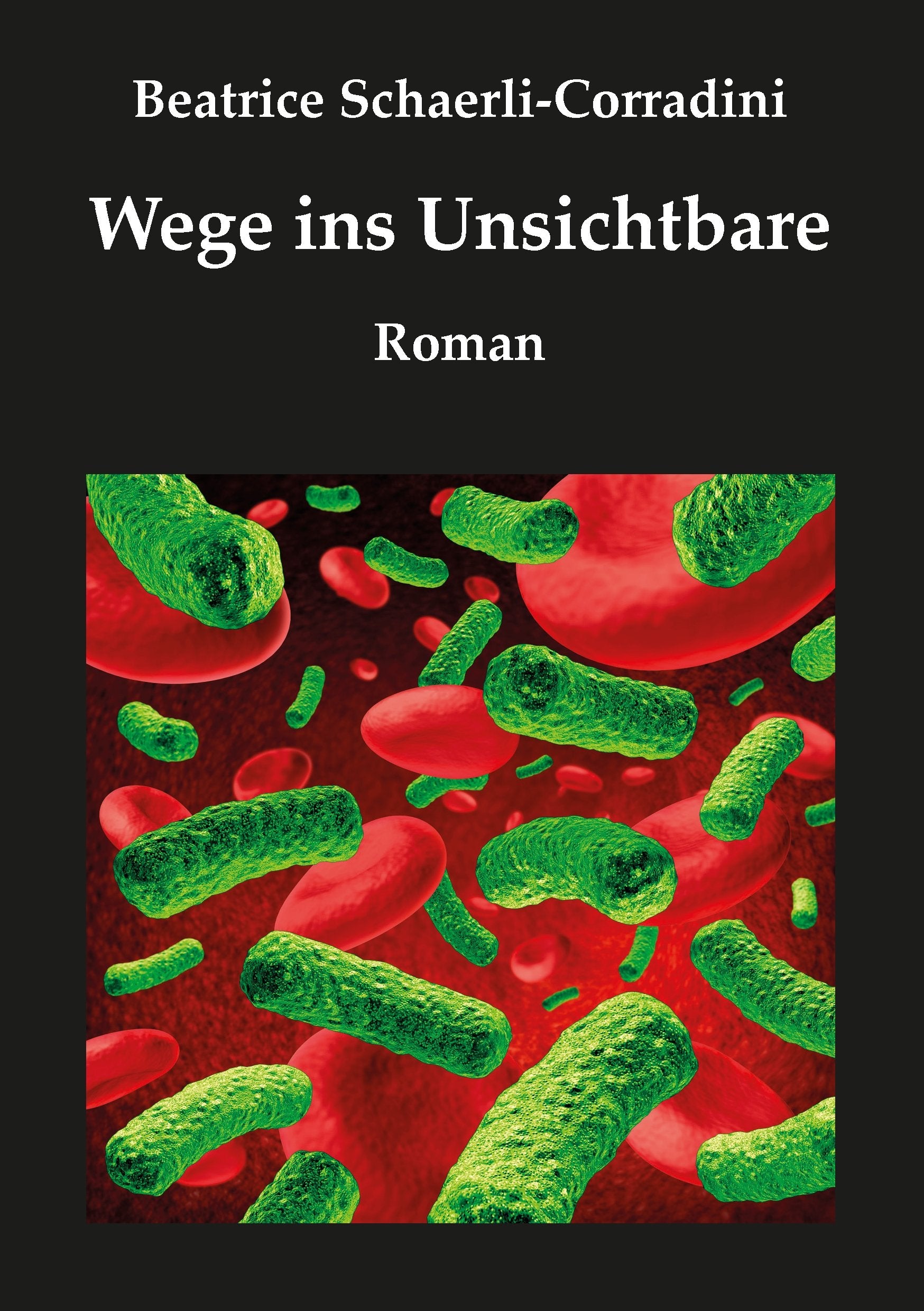 Wege ins Unsichtbare: Roman Historical Fiction