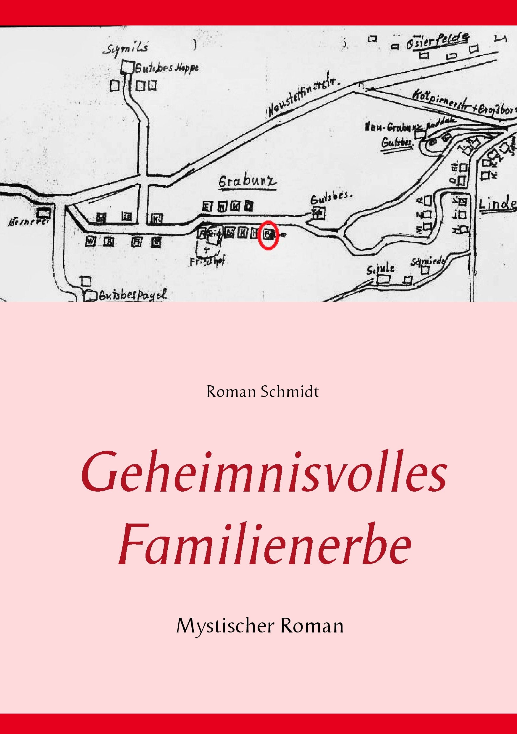 Geheimnisvolles Familienerbe Contemporary literature