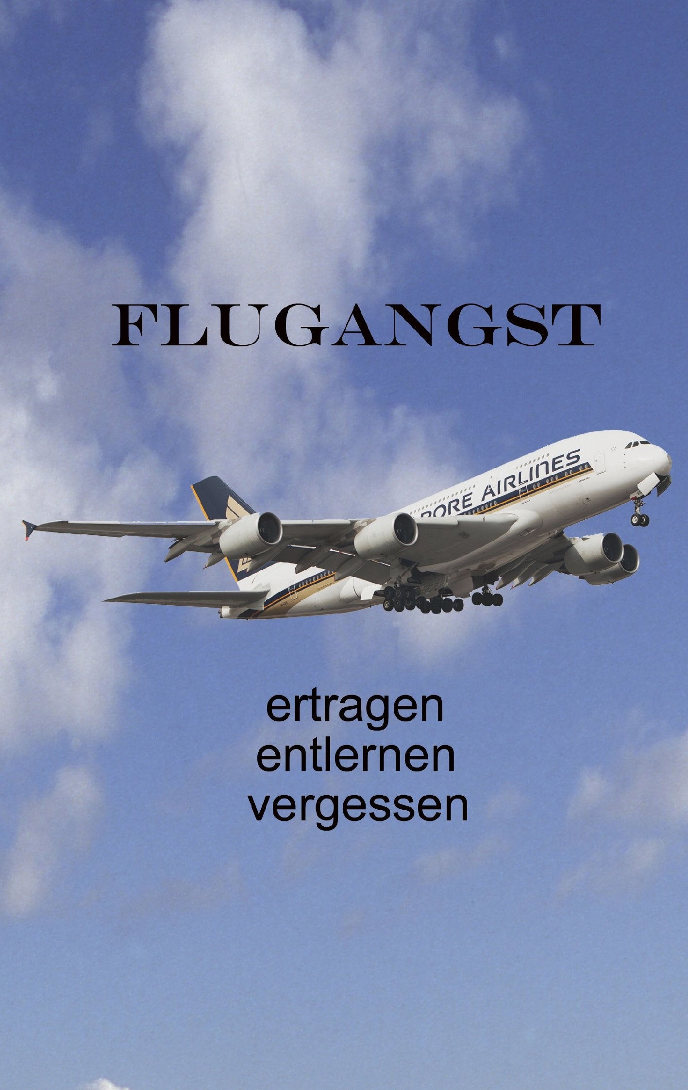 Flugangst ertragen entlernen vergessen book