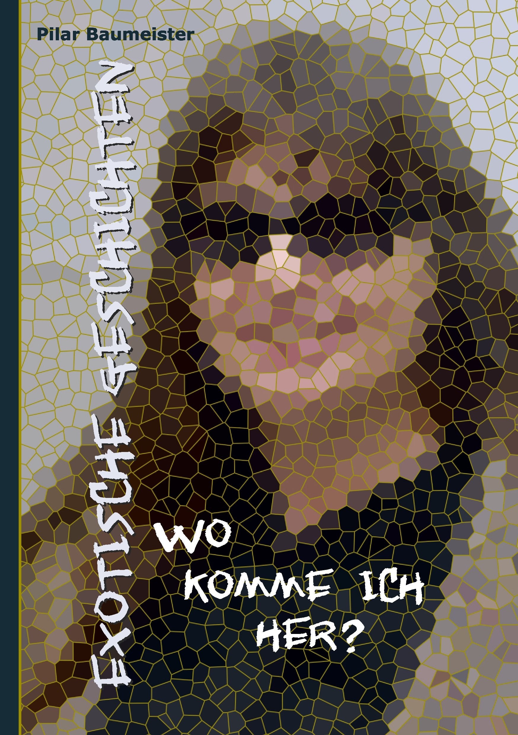 Exotische Geschichten: Wo komme ich her? Contemporary literature