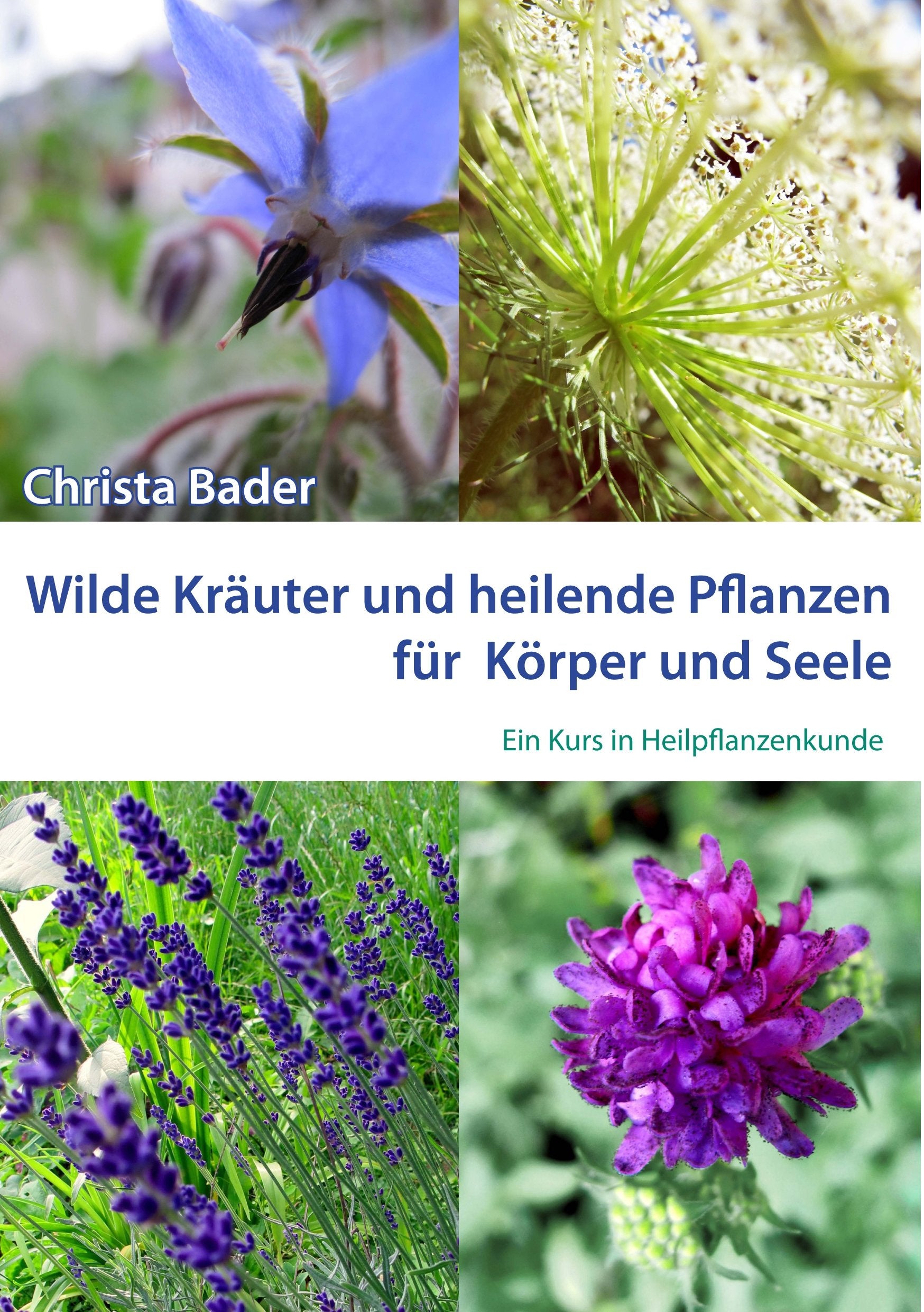 Wilde Kräuter und Heilende Pflanzen für Körper und Seele: Ein Kurs in Heilpflanzenkunde Film, Art & Culture