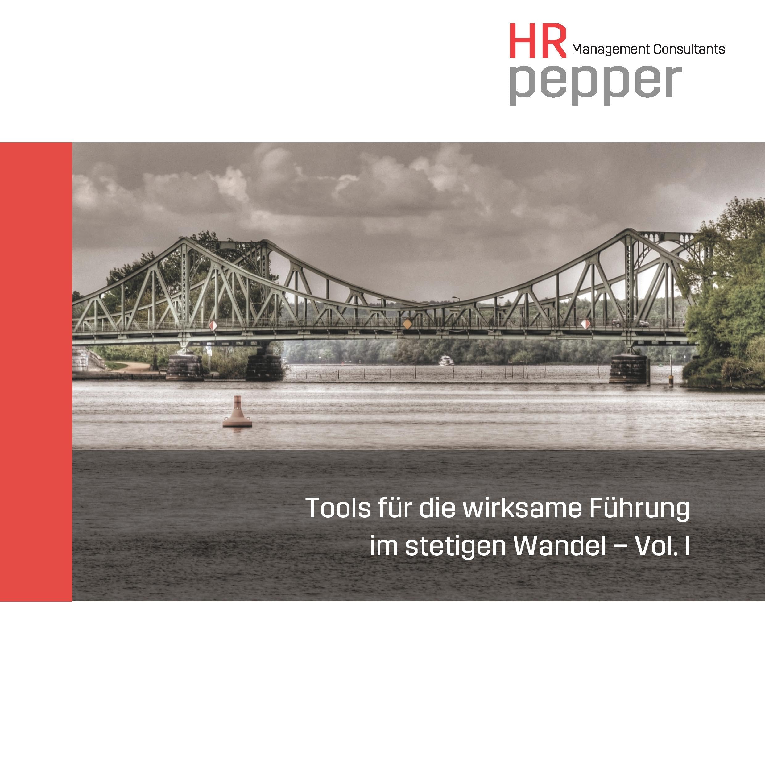 Tools für die wirksame Führung im stetigen Wandel - Vol. 1 Law