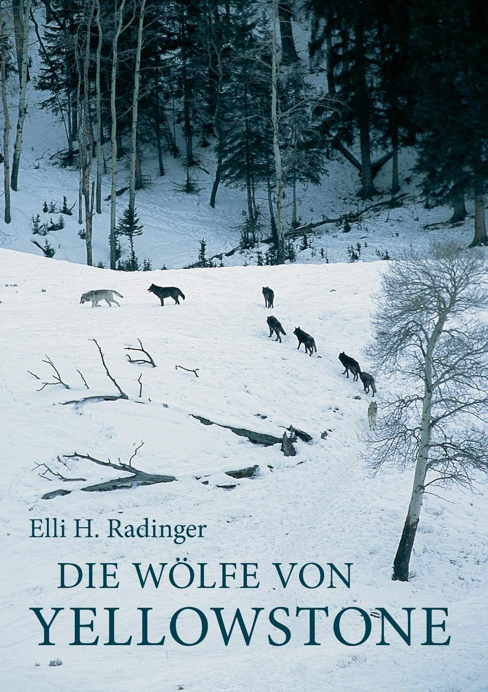 Die Wölfe von Yellowstone: Die ersten zehn Jahre Leisure, Home & Garden