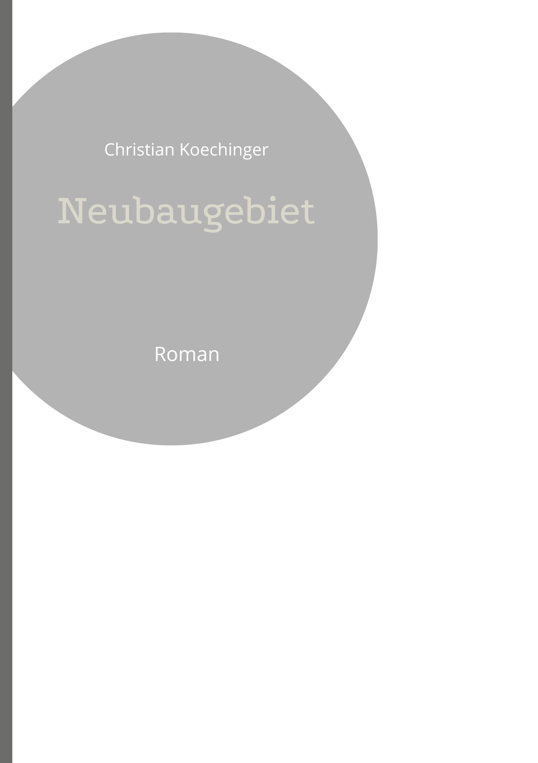 Neubaugebiet: Roman Contemporary literature