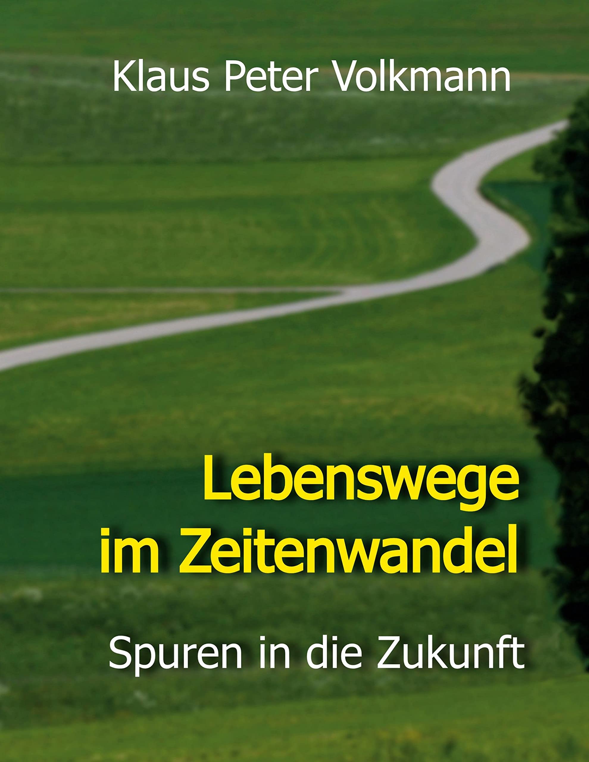 Lebenswege im Zeitenwandel book