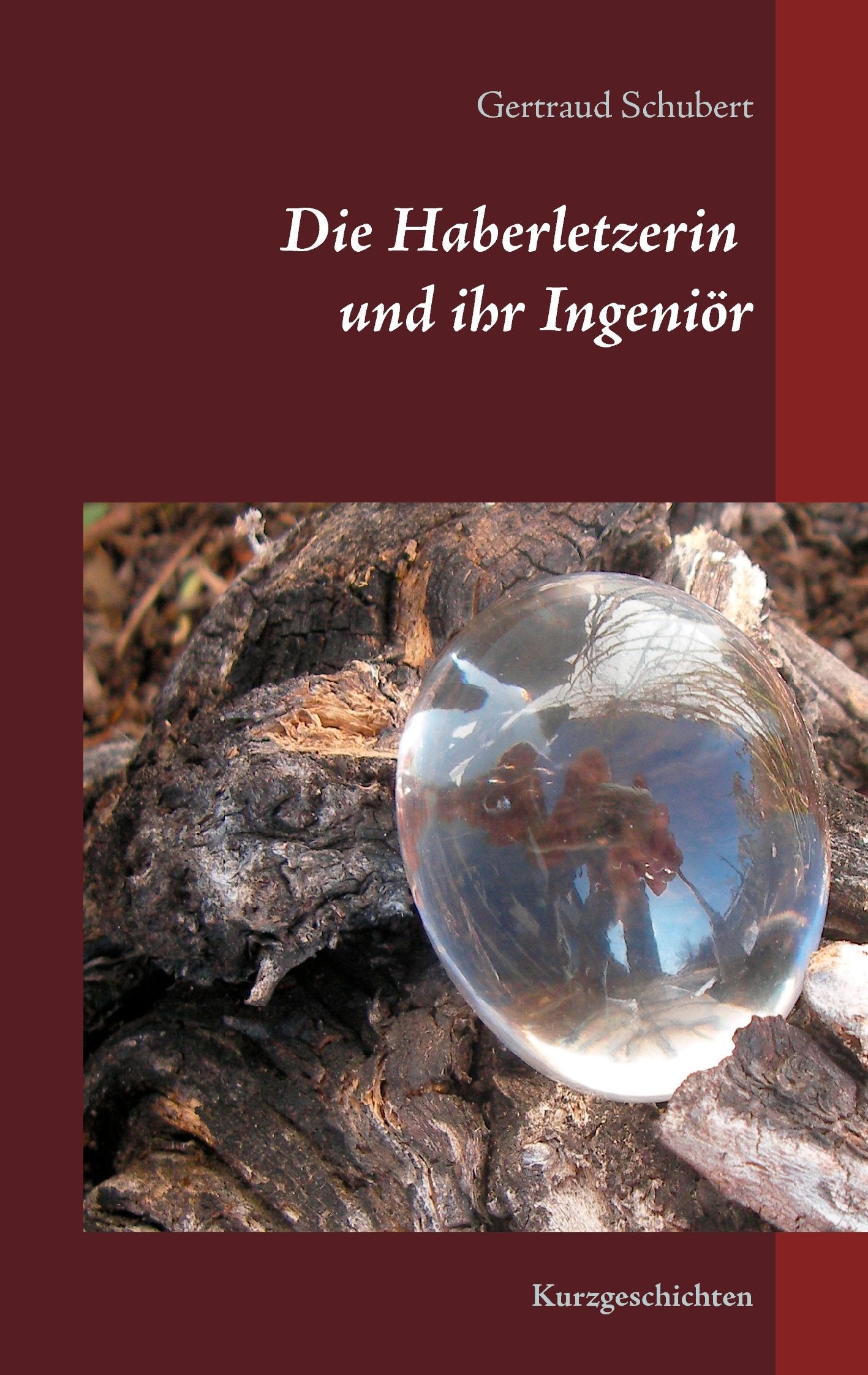 Die Haberletzerin und ihr Ingeniör Contemporary literature