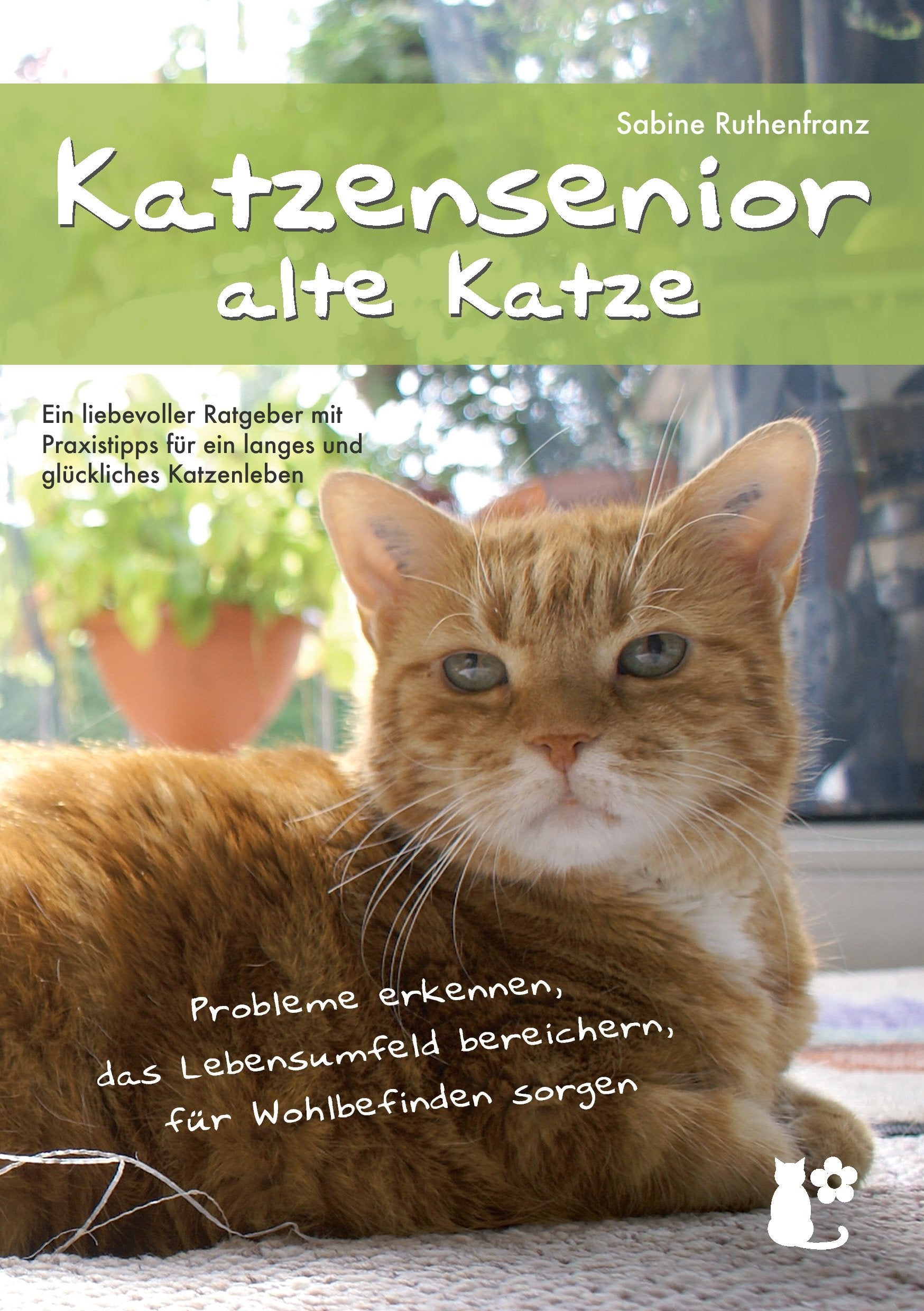 Katzensenior - alte Katze Pets