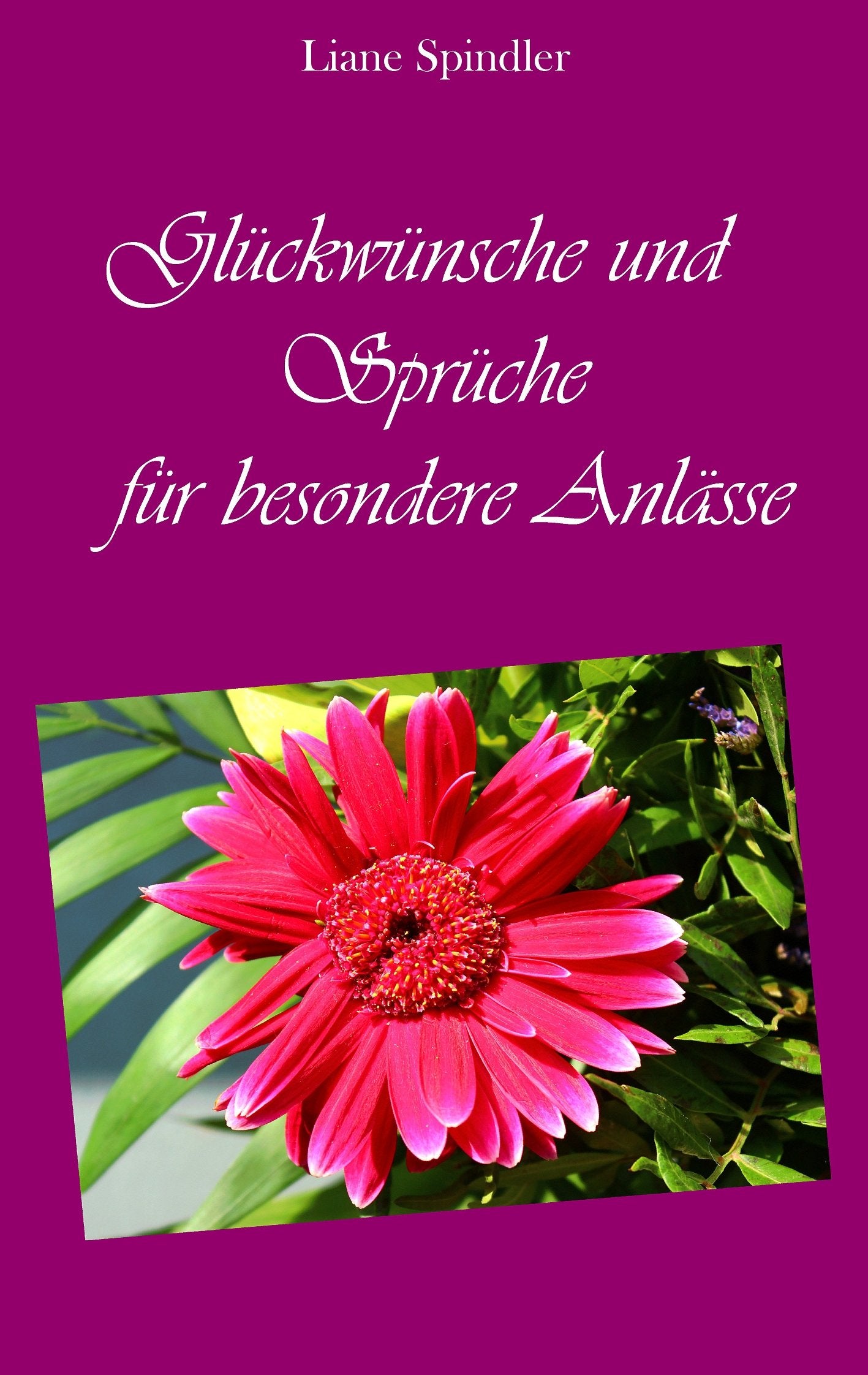 Glückwünsche und Sprüche für besondere Anlässe Contemporary literature