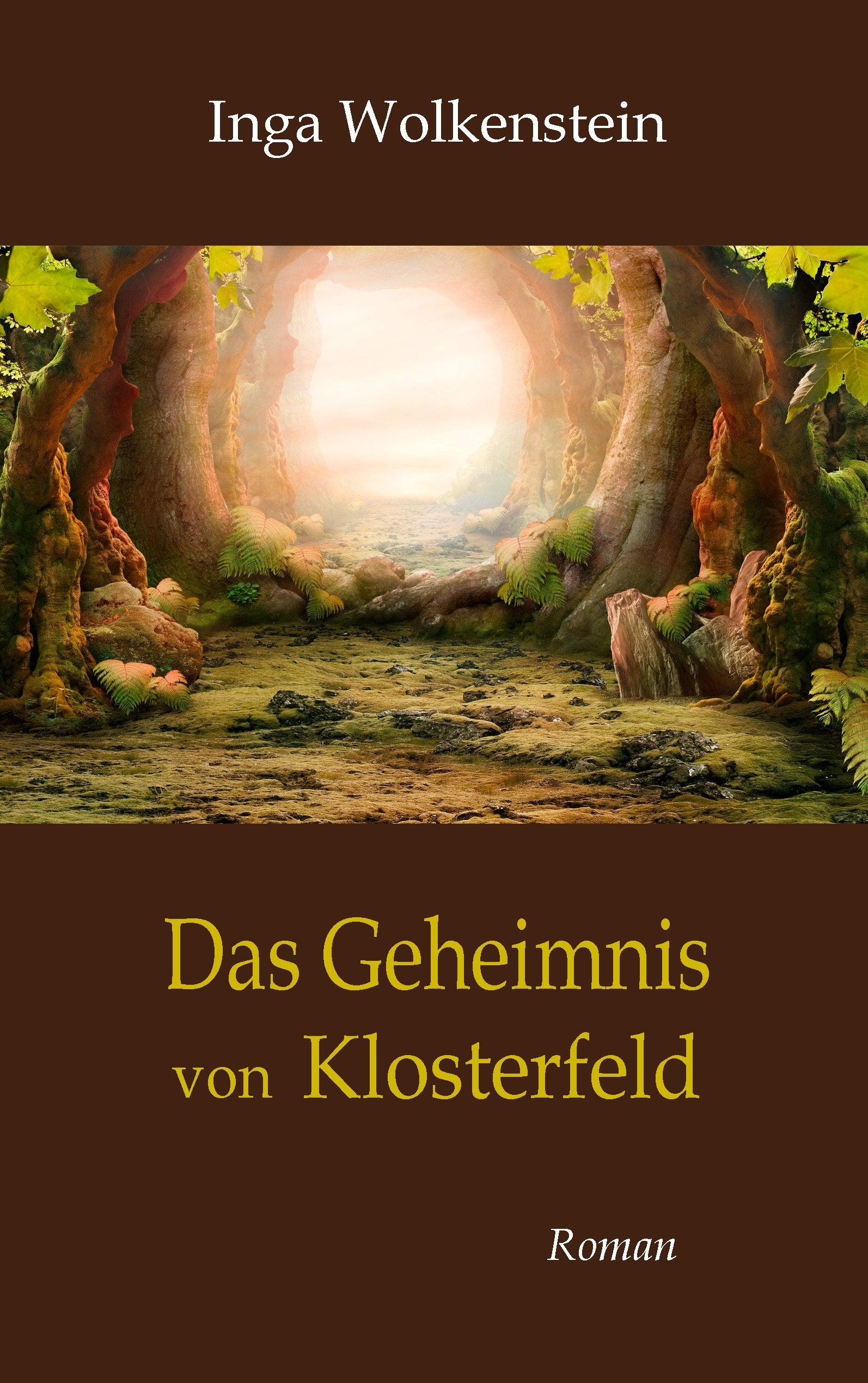 Das Geheimnis von Klosterfeld Contemporary literature