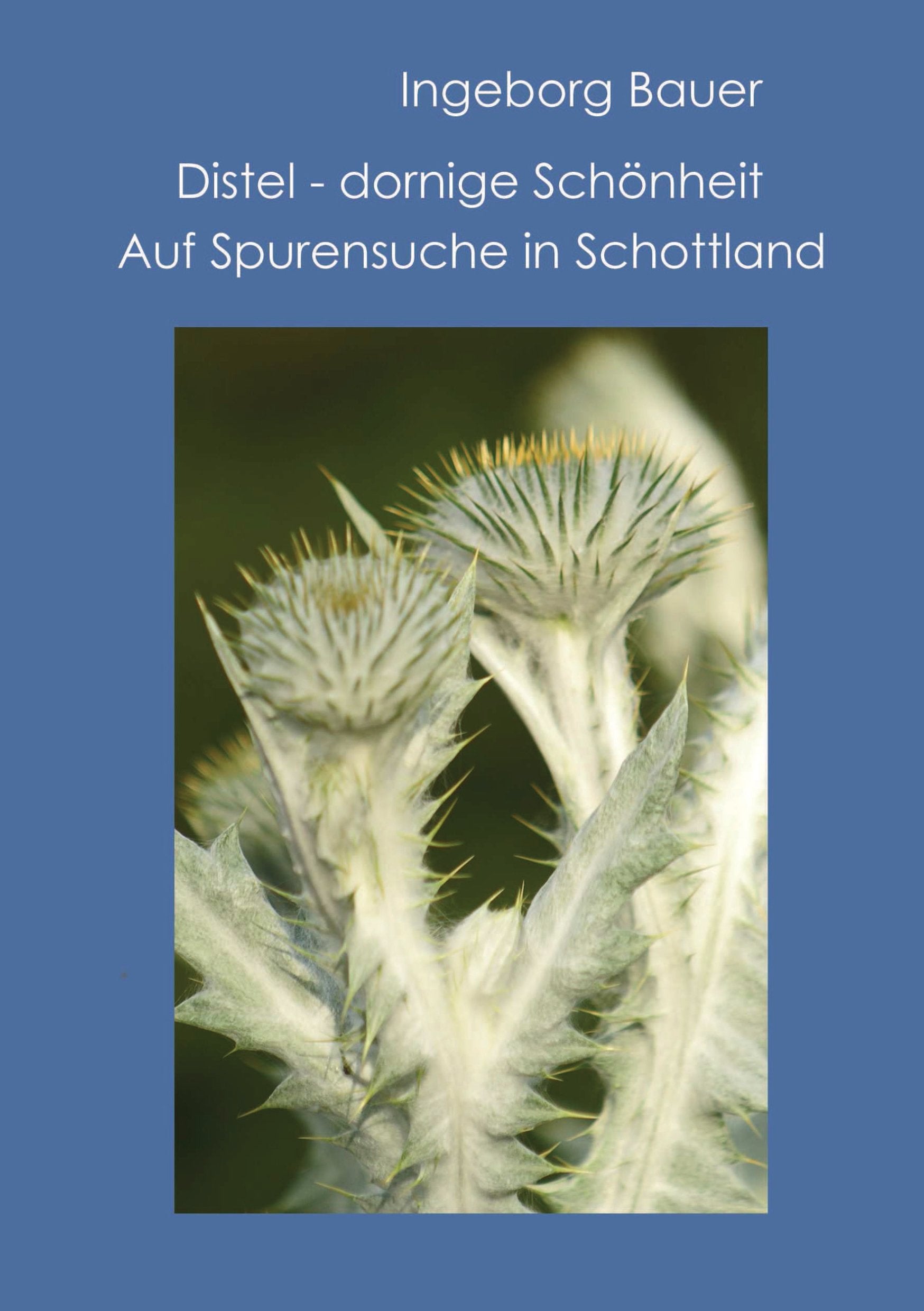 Distel - dornige Schönheit: Auf Spurensuche in Schottland Leisure, Home & Garden