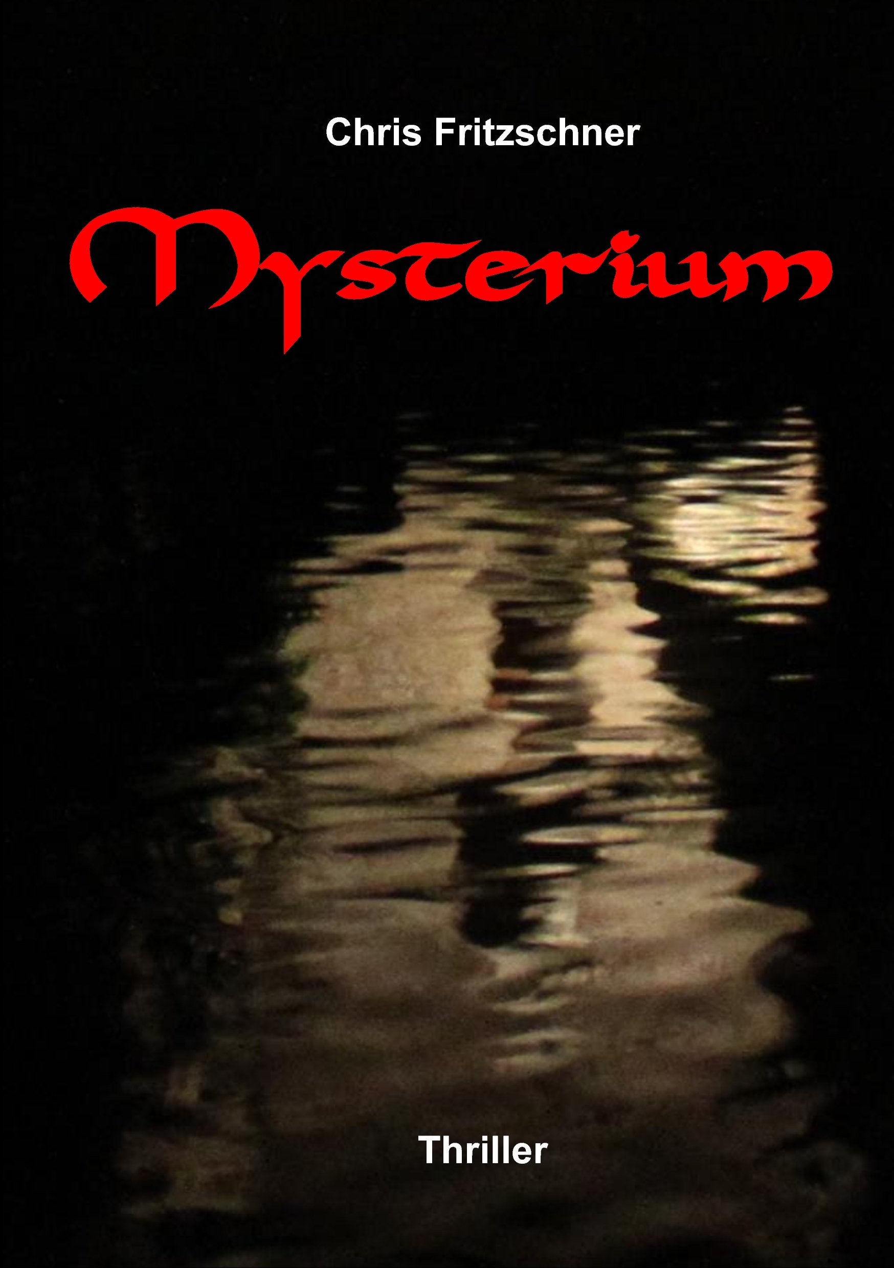 Mysterium: ein mysteriöser Fall für die SoKo Spinnennetz Contemporary literature