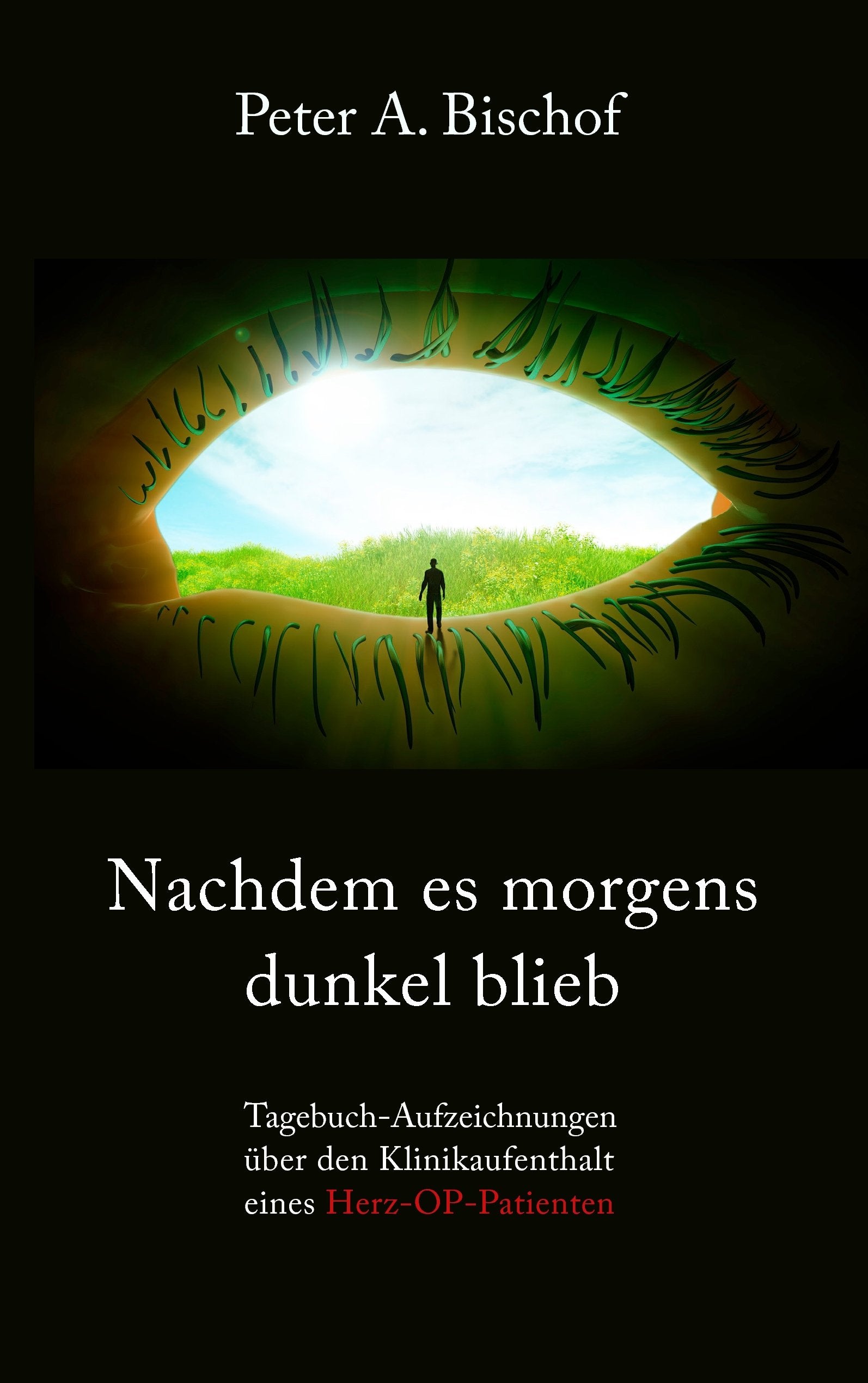 Nachdem es morgens dunkel blieb Essays & Short Stories