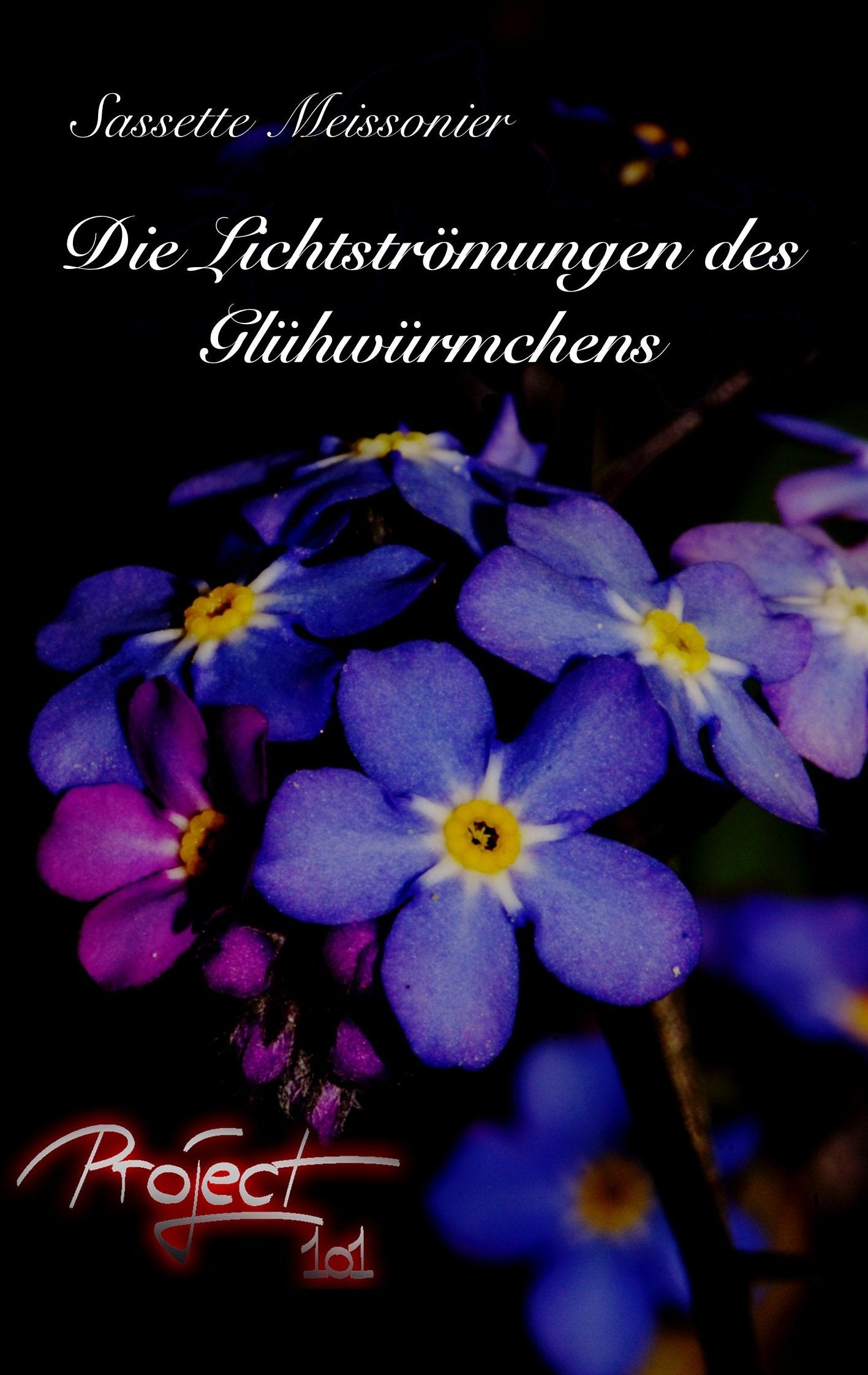 Die Lichtströmungen des Glühwürmchens Contemporary literature