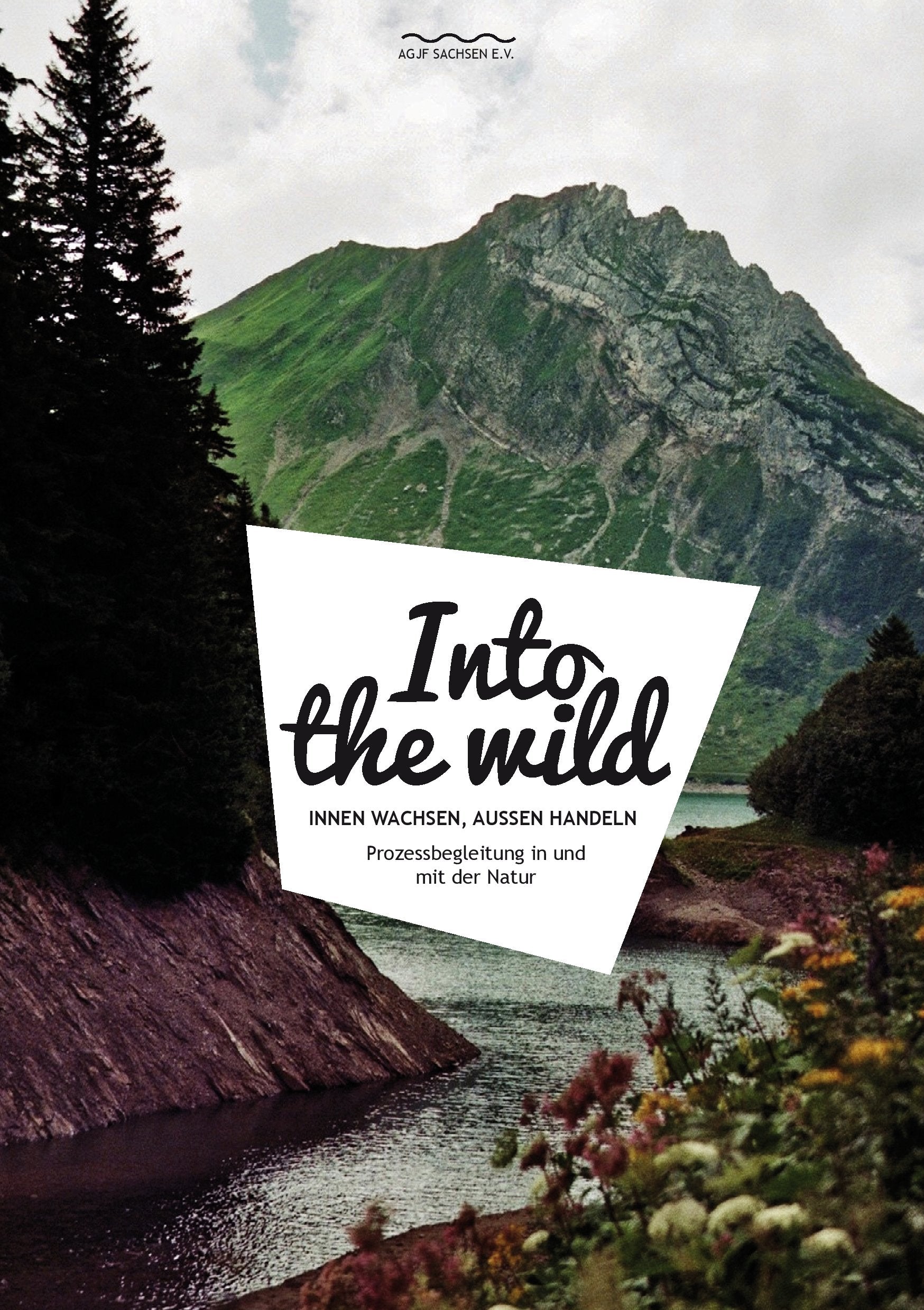 Into the wild Education & Training
