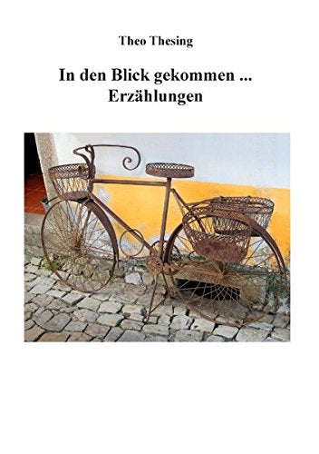 In den Blick gekommen: Erzählungen Historical Fiction