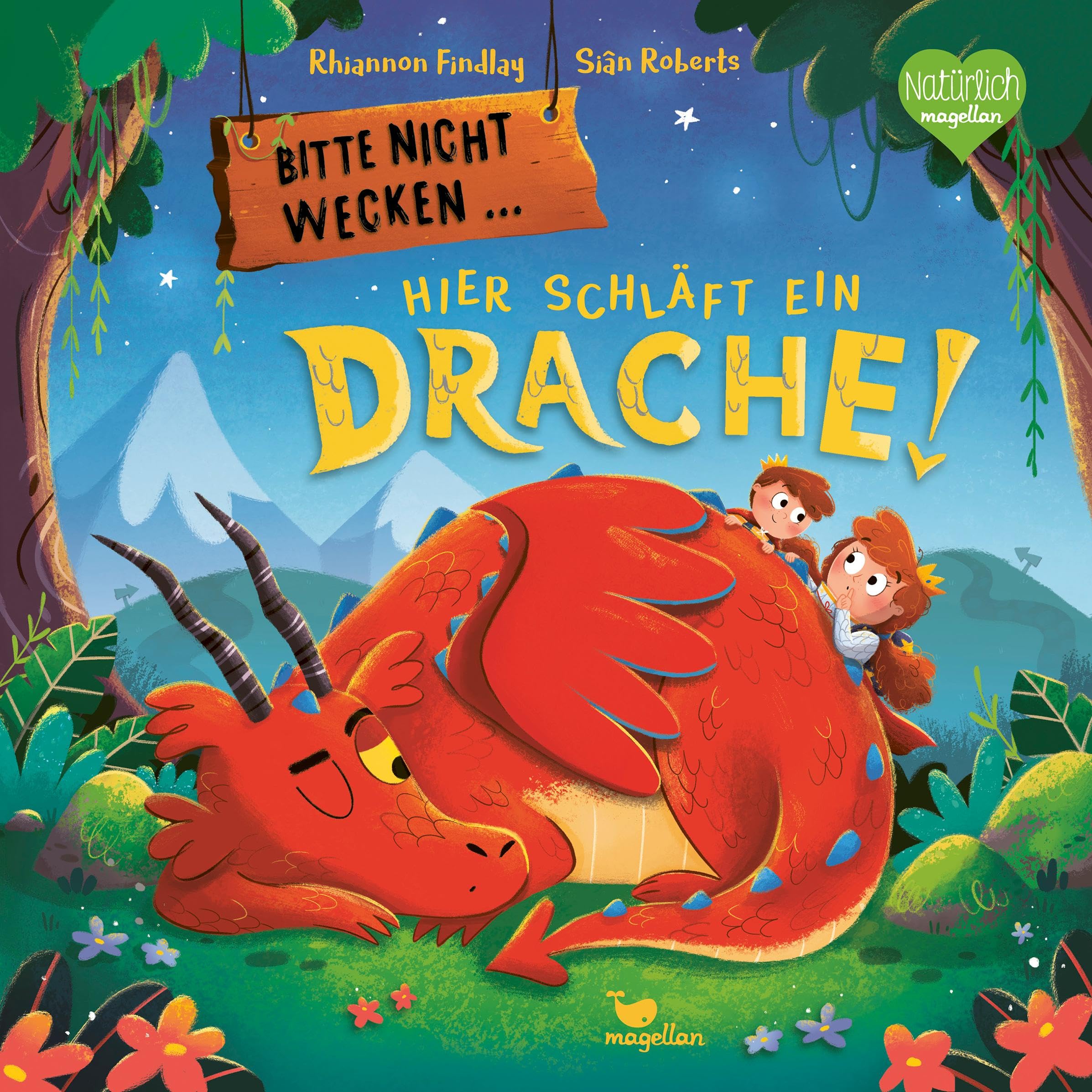 Bitte nicht wecken ... Hier schläft ein Drache! Non-fiction