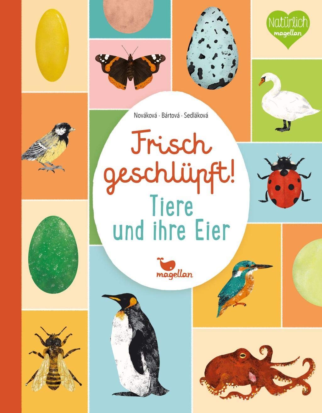 Frisch geschlüpft! - Tiere und ihre Eier Non-fiction