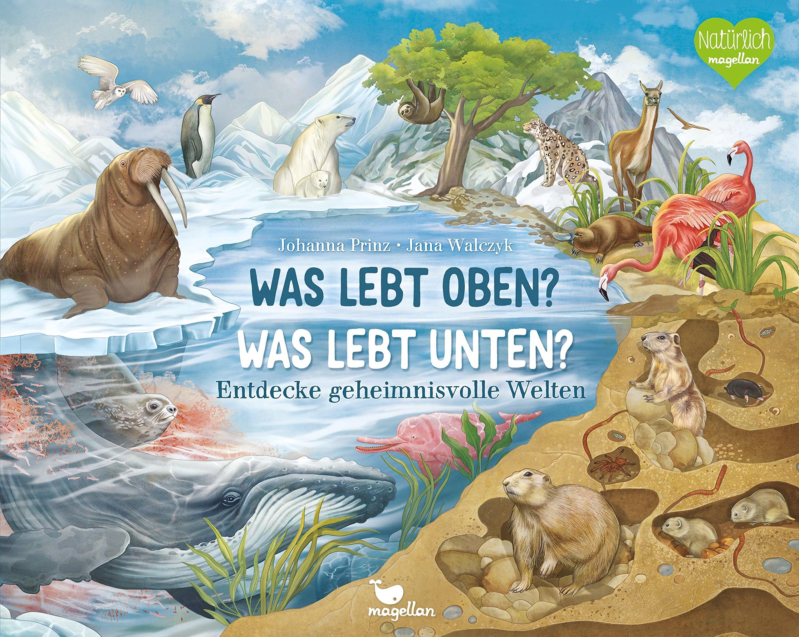 Was lebt oben? Was lebt unten? Non-fiction
