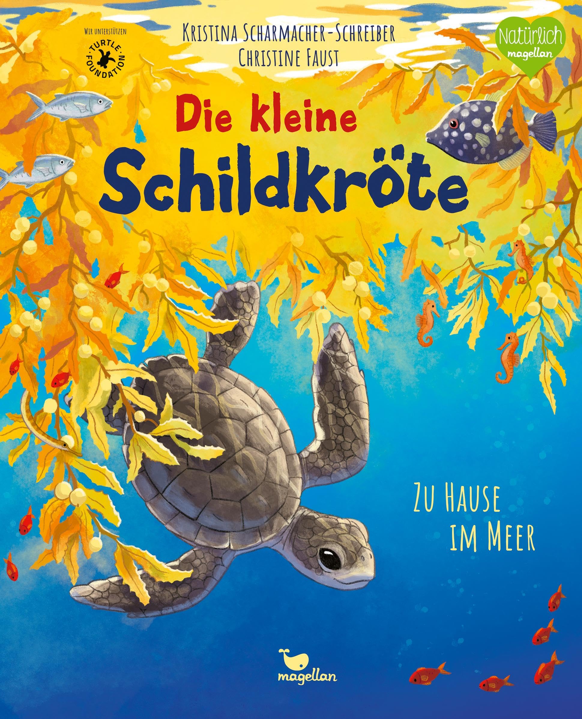 Die kleine Schildkröte - Zu Hause im Meer Non-fiction