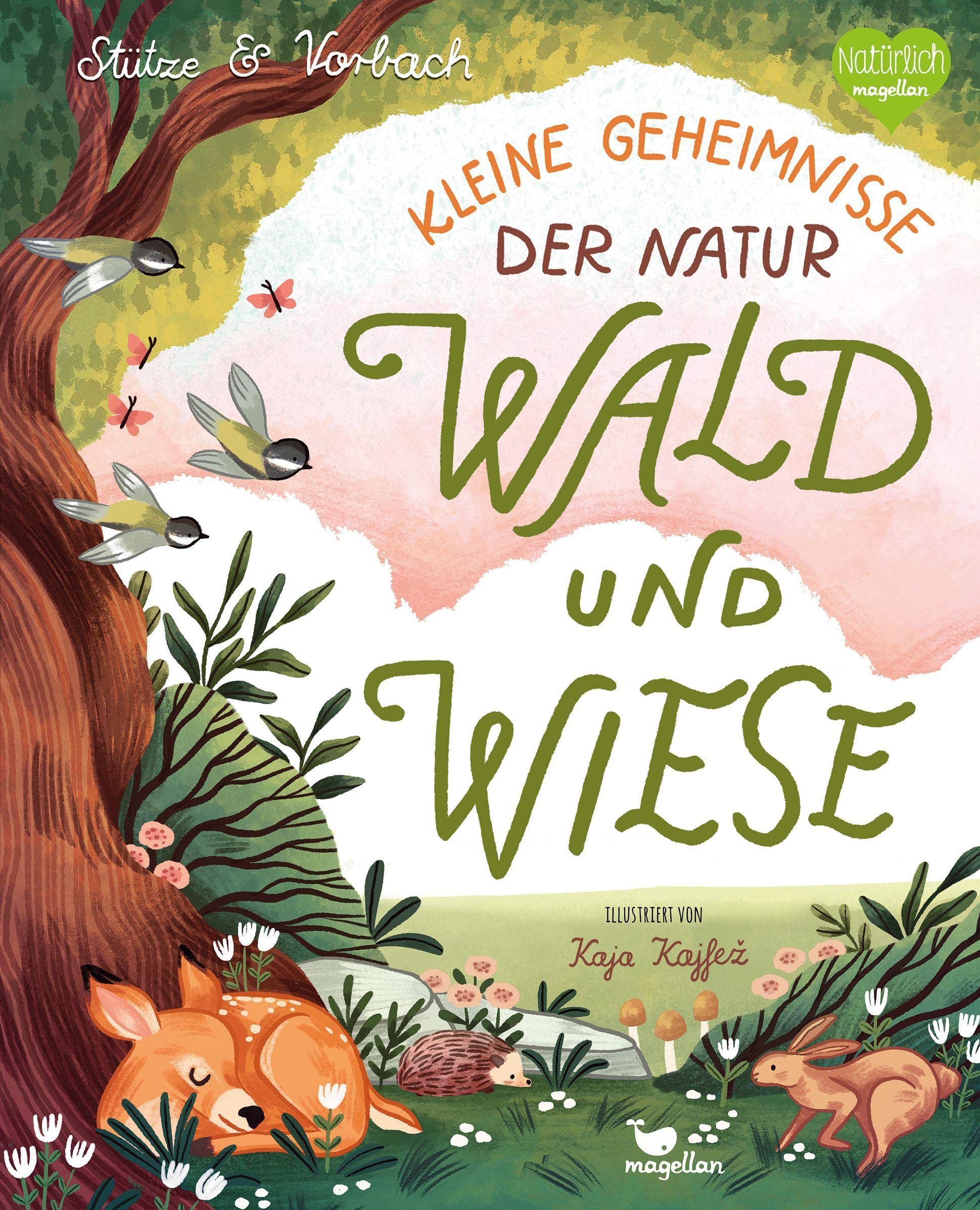 Kleine Geheimnisse der Natur - Wald und Wiese: Ein interaktives Sachbilderbuch für Kinder ab 4 Jahren Business & Technology
