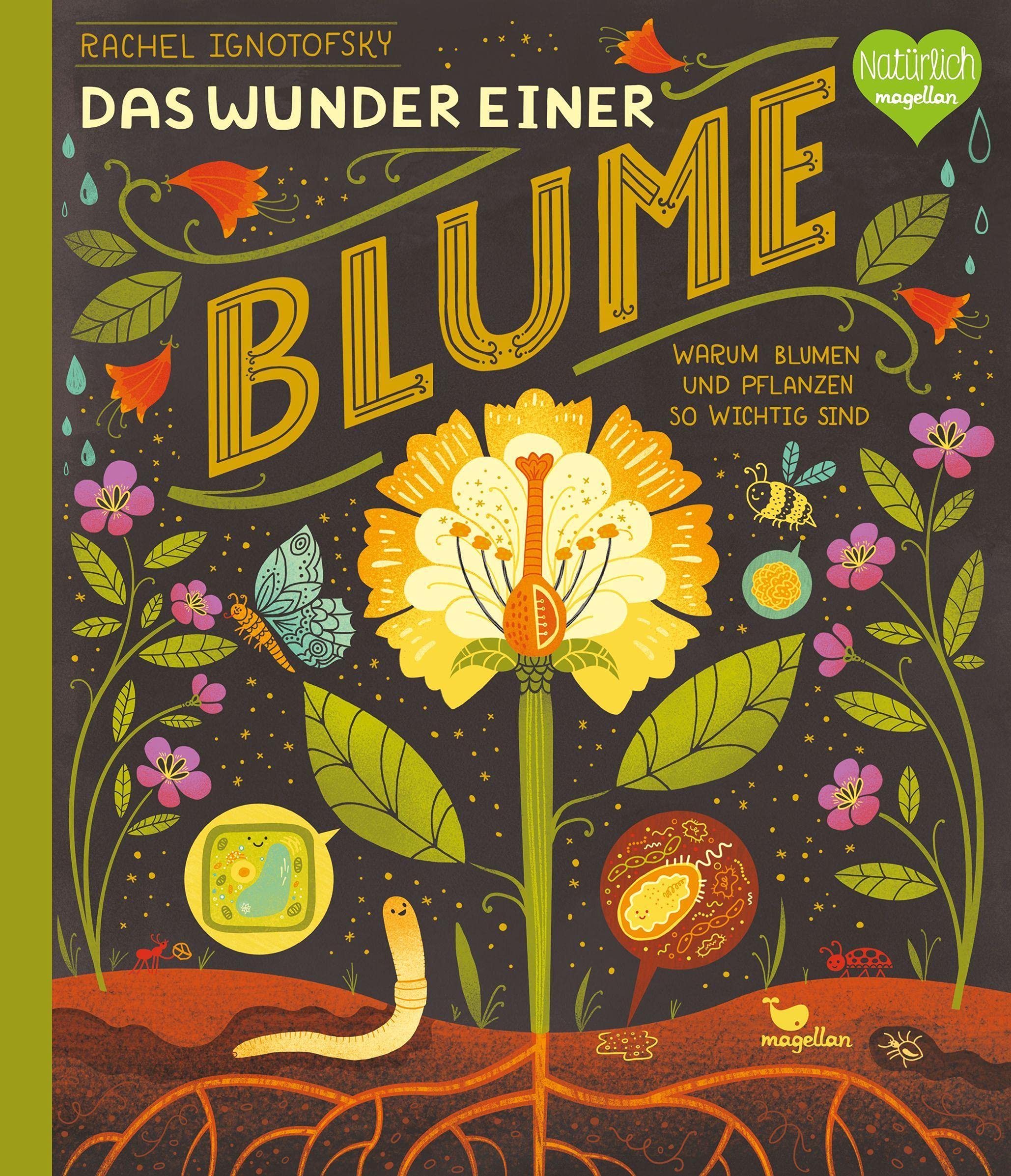 Das Wunder einer Blume - Warum Blumen und Pflanzen so wichtig sind Business & Technology