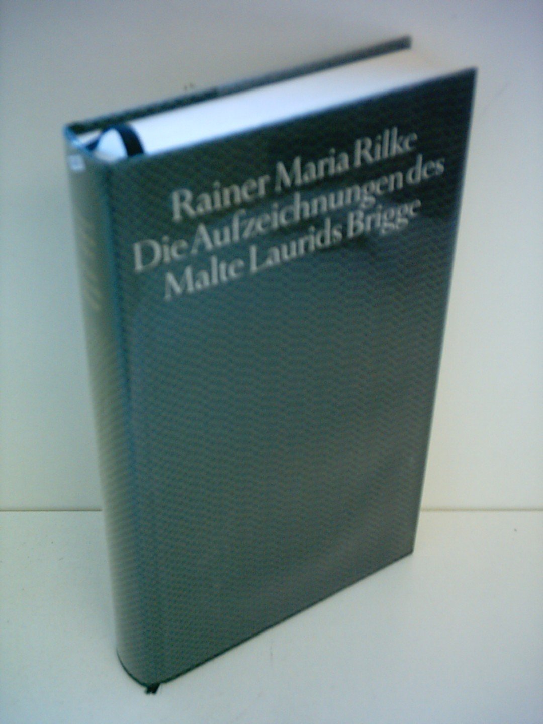 Die Aufzeichnungen des Malte Laurids Brigge Classics