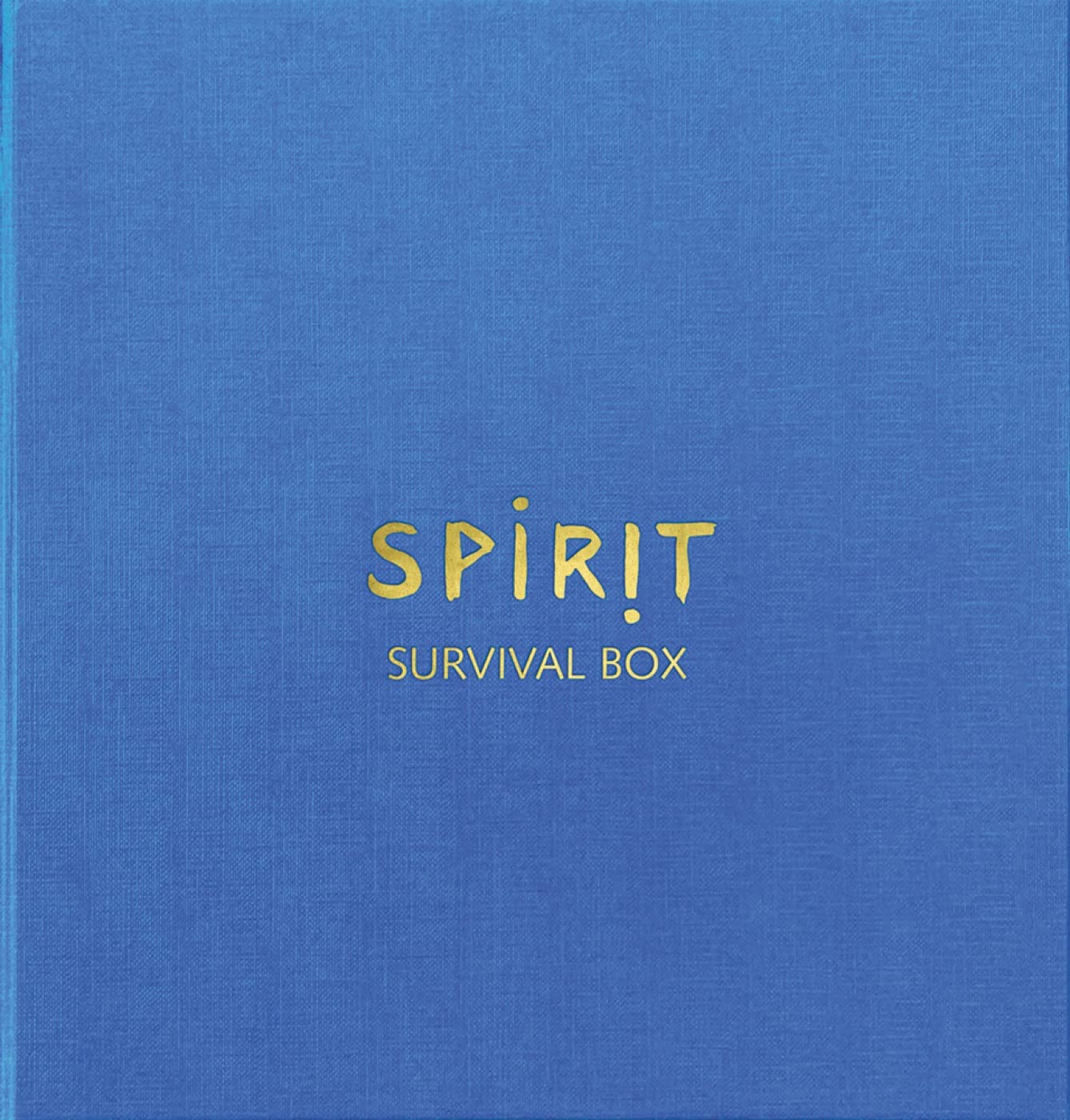 Dieter Huber: Spirit: Survival Box Film, Art & Culture