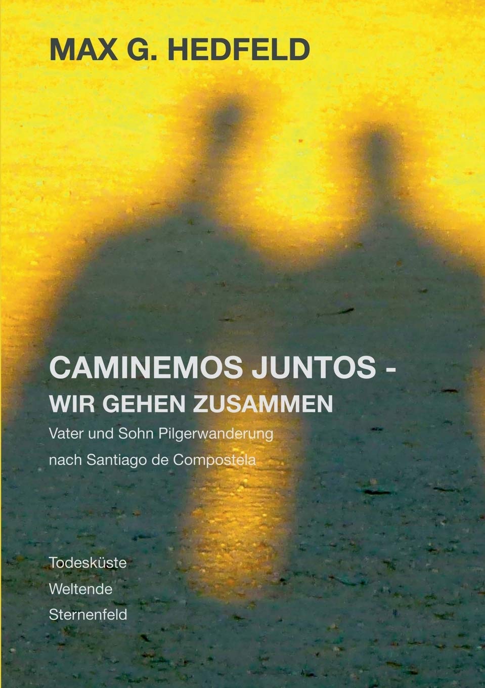 Caminemos juntos - Wir gehen zusammen: Vater und Sohn Pilgerwanderung nach Santiago de Compostela Contemporary literature