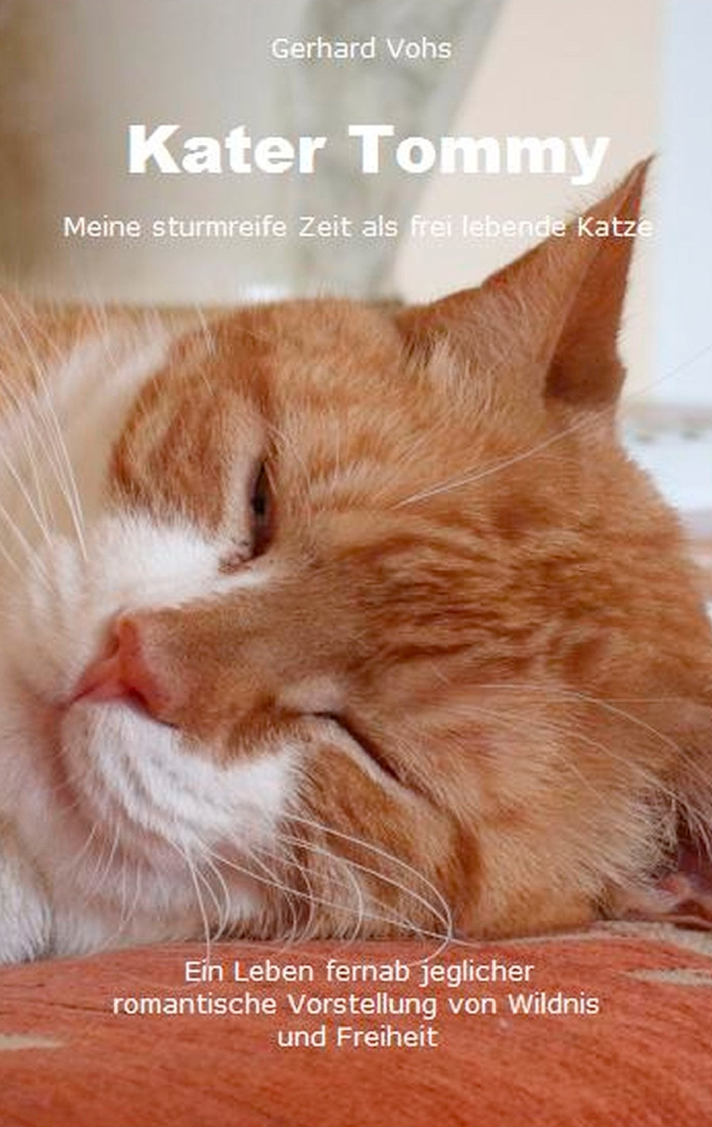 Kater Tommy: Meine sturmreife Zeit als frei lebende Katze Contemporary literature