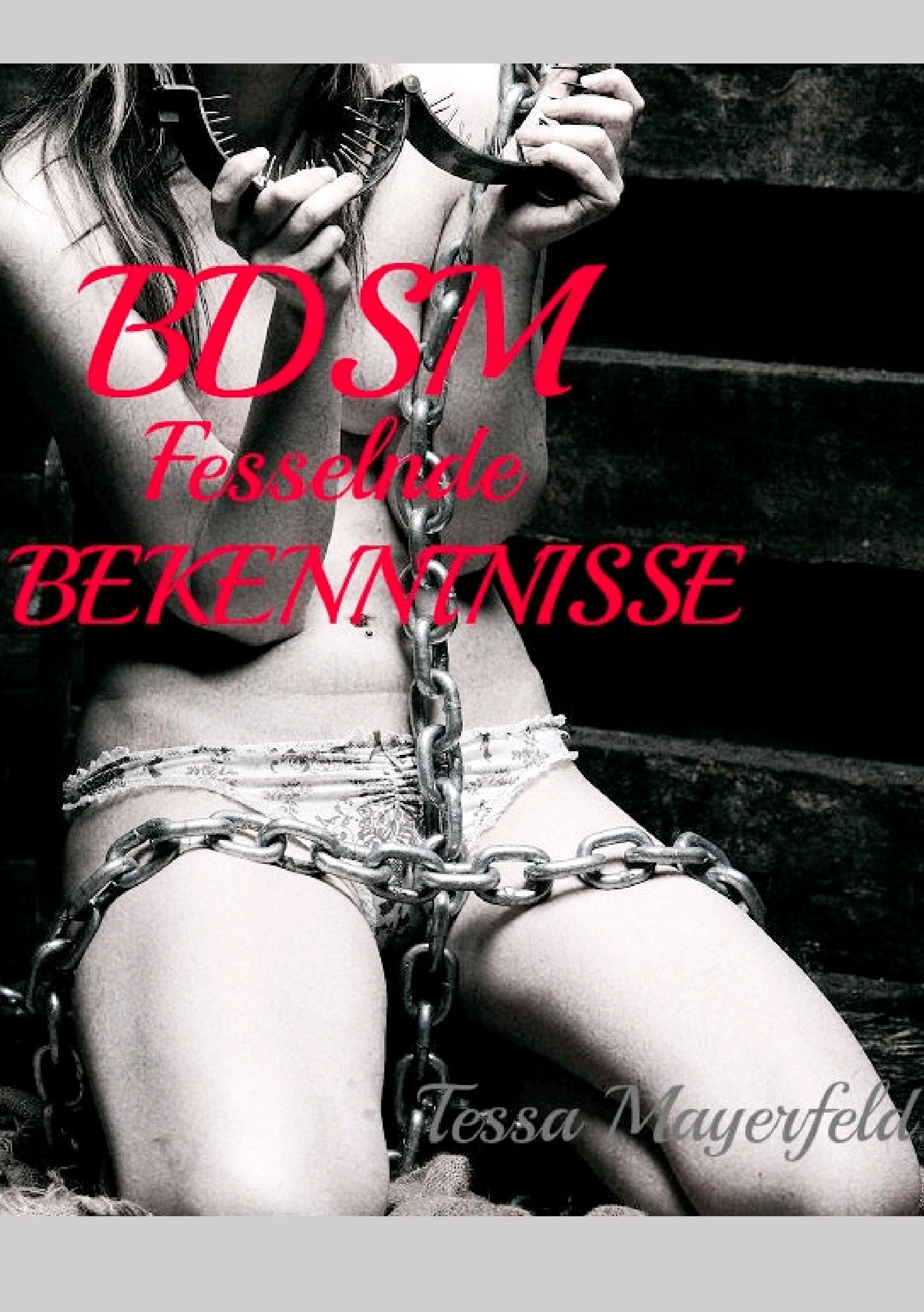 BDSM Fesselnde Bekenntnisse Contemporary literature
