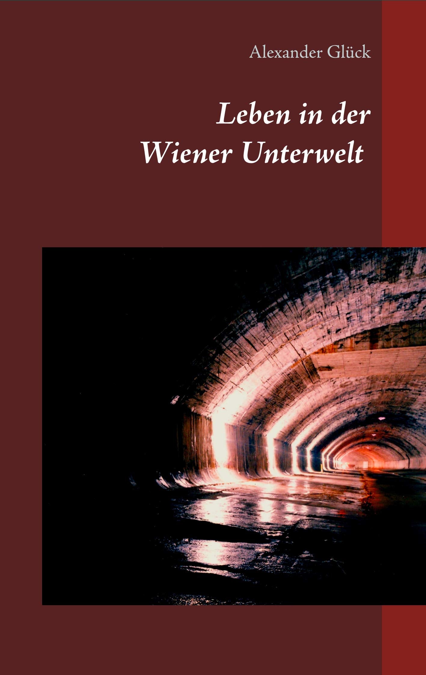 Leben in der Wiener Unterwelt: Forscher, Künstler und Gruftretter unter der Stadt. Mit zahlreichen Abbildungen. Leisure, Home & Garden