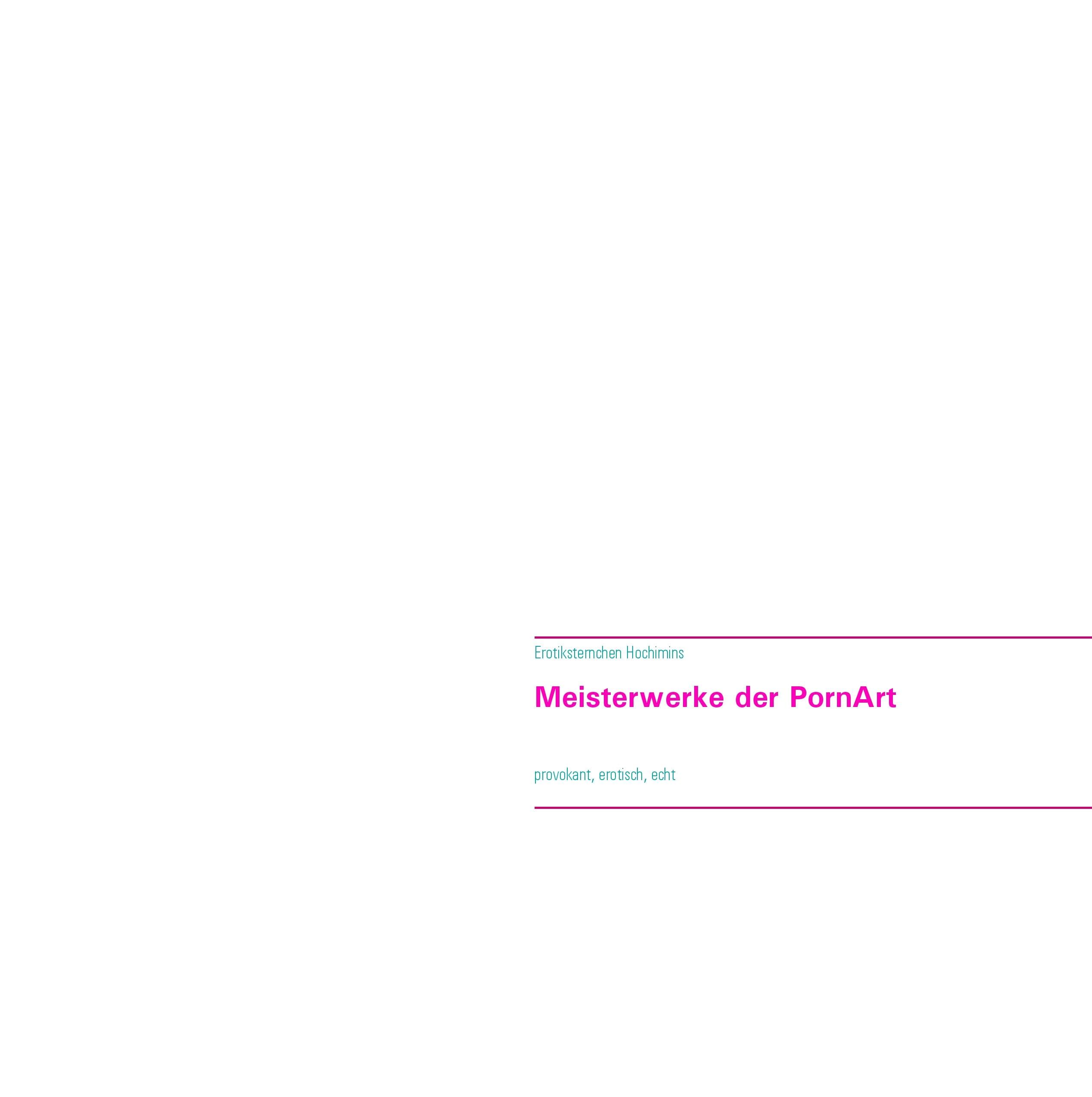Meisterwerke der PornArt: provokant, erotisch, echt Contemporary literature