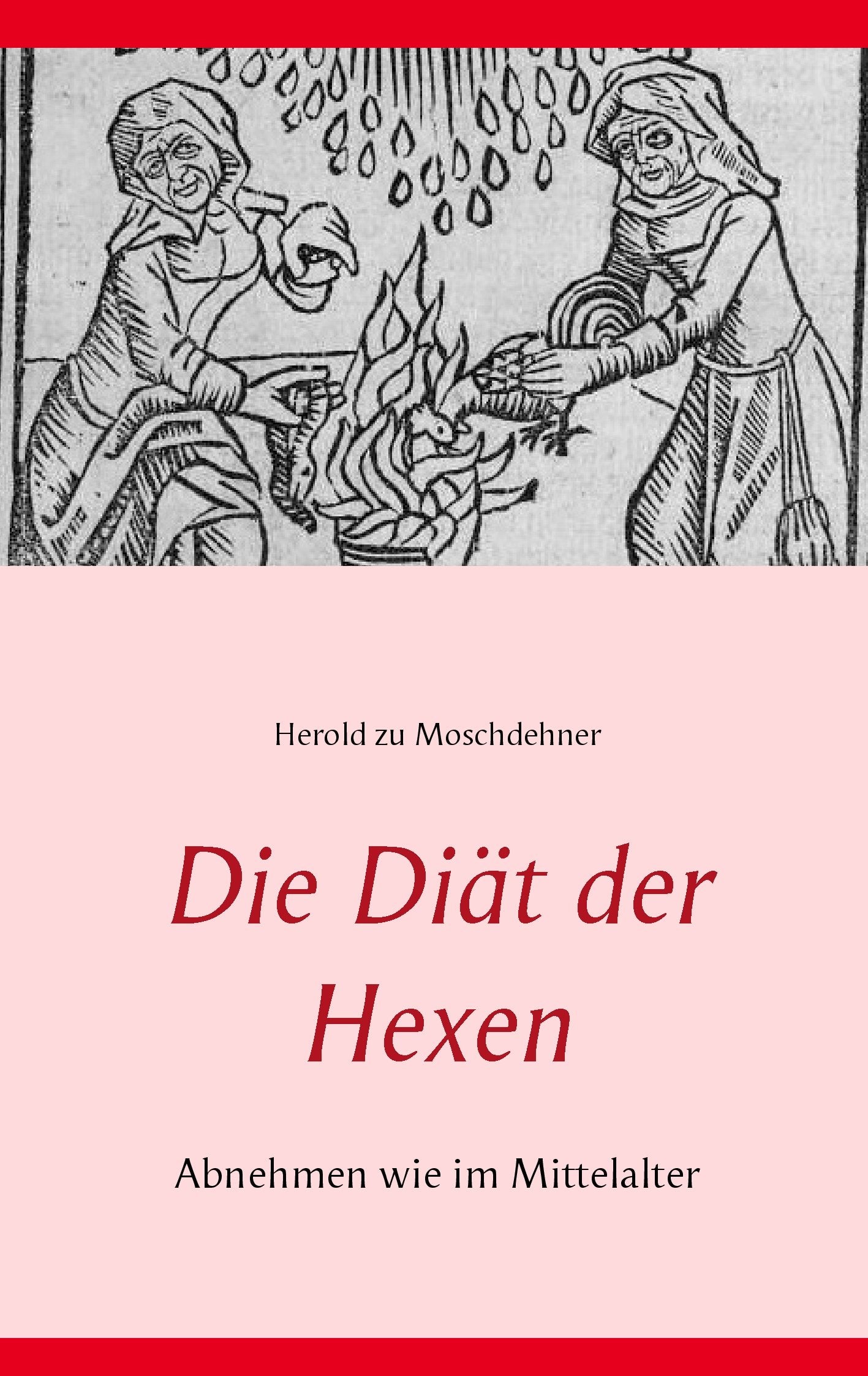 Product Image: Die Diät der Hexen