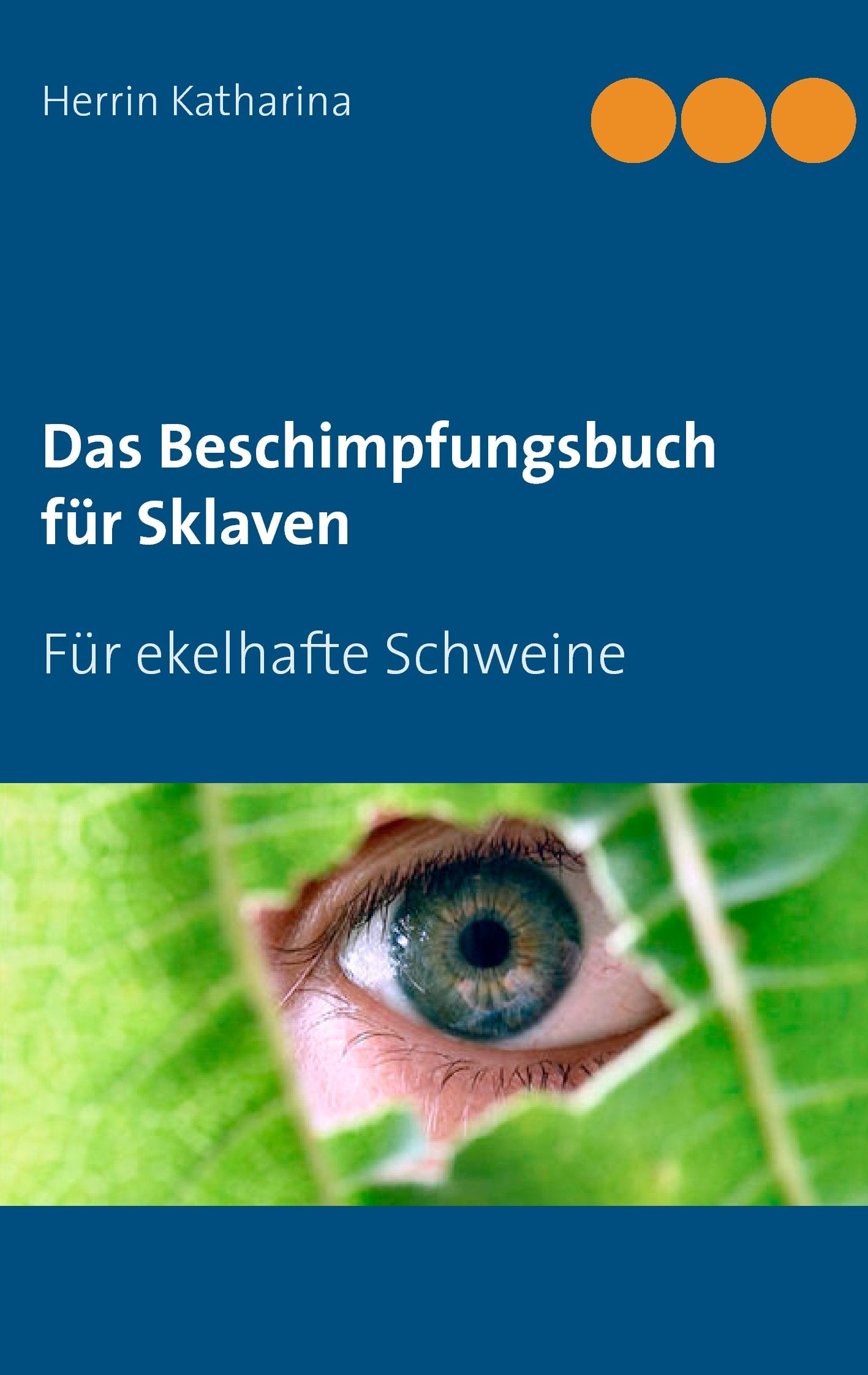 Das Beschimpfungsbuch für Sklaven: Für ekelhafte Schweine Business, Finance & Career