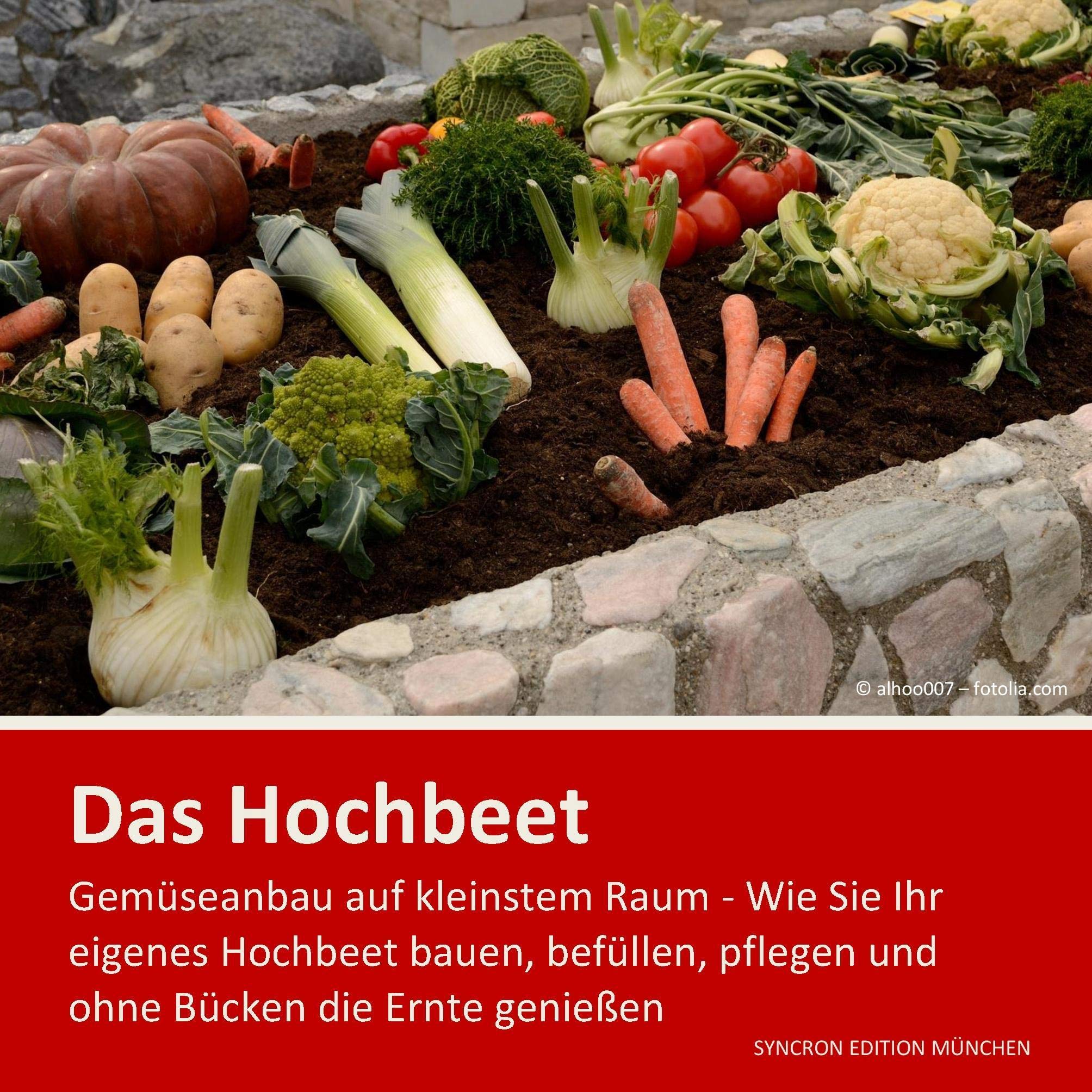Hochbeet - Gemüseanbau auf kleinstem Raum book