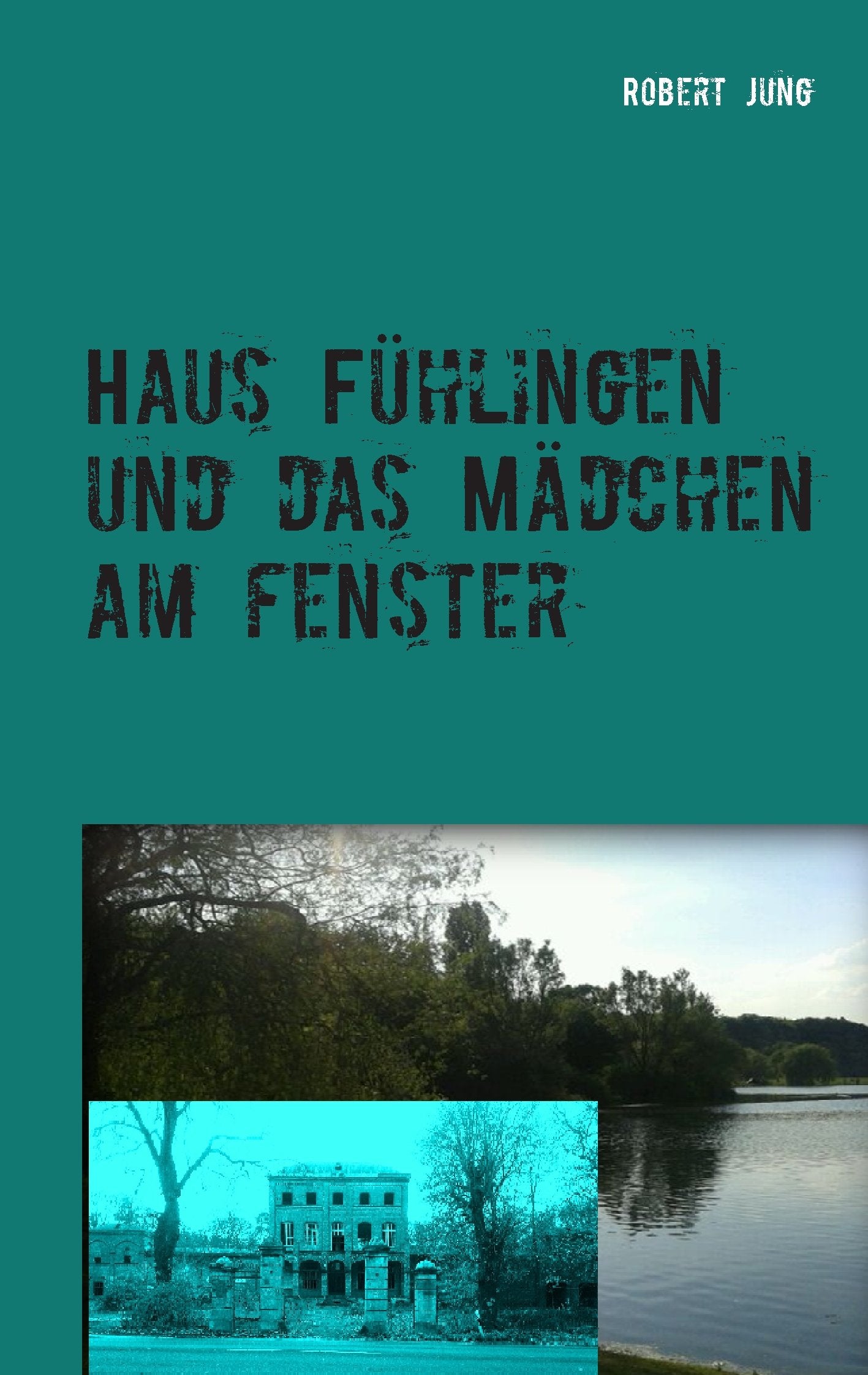 Haus Fühlingen und das Mädchen am Fenster Contemporary literature