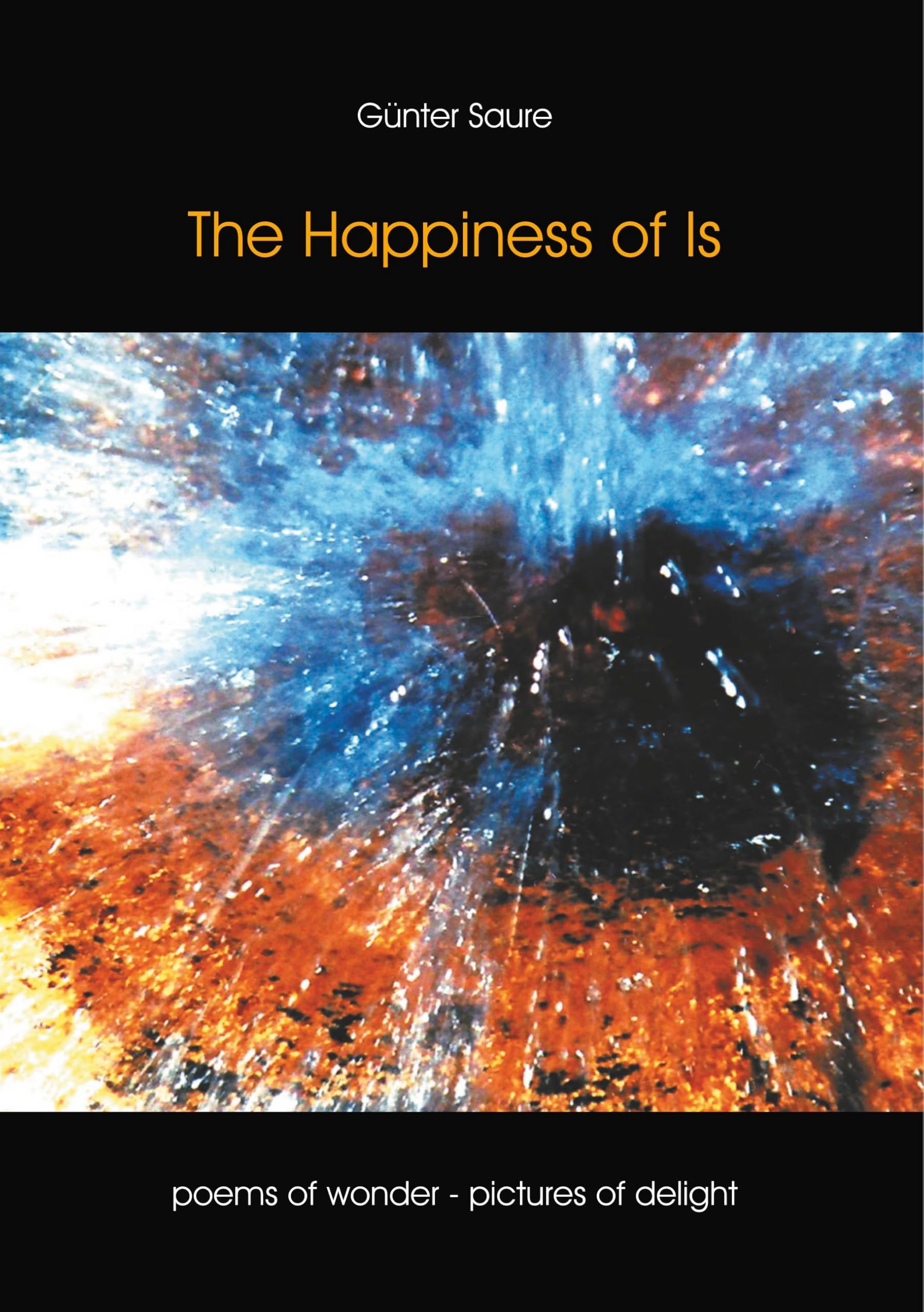 The Happiness of Is Poetry