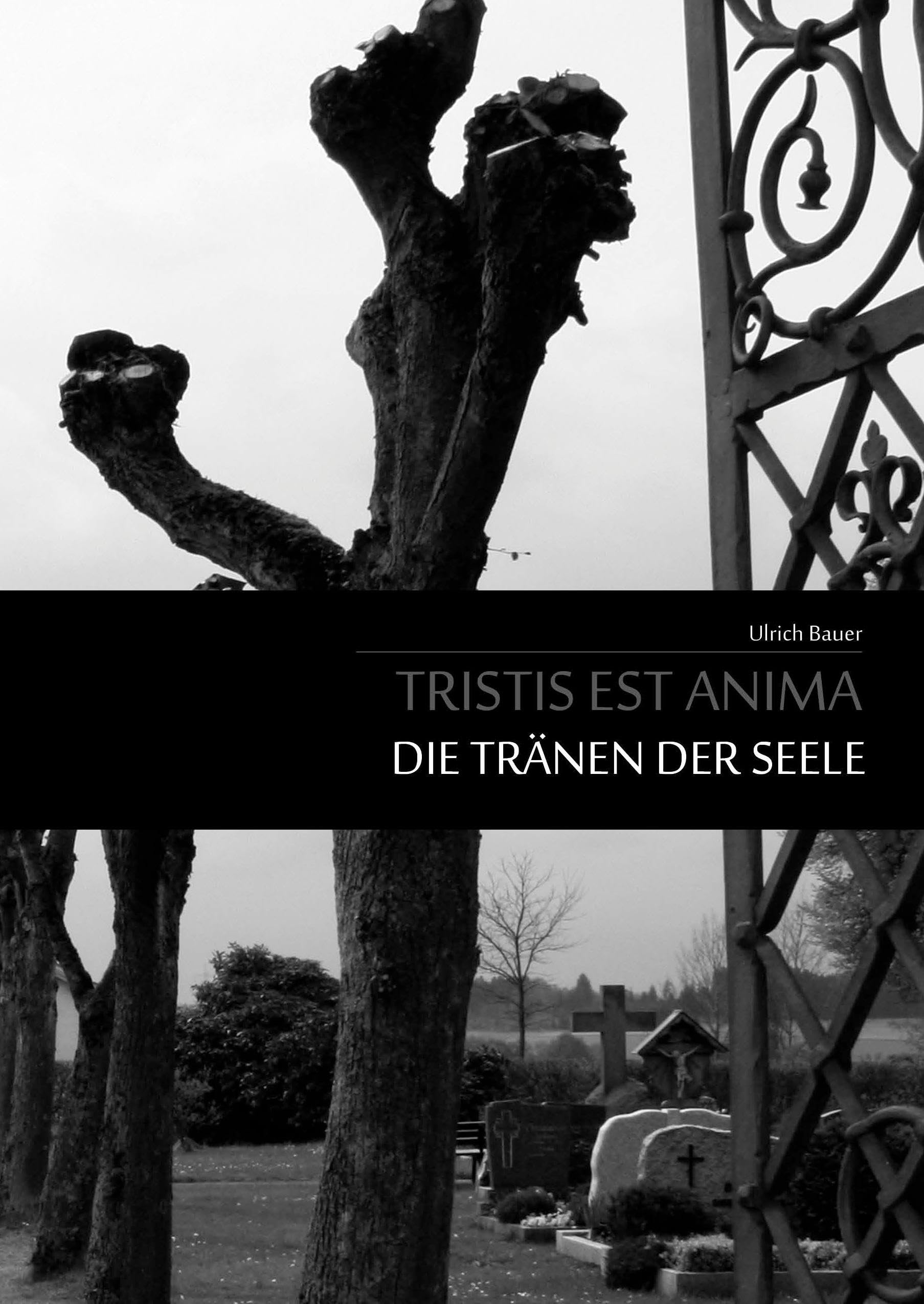 Tristis est Anima - Die Tränen der Seele Poetry