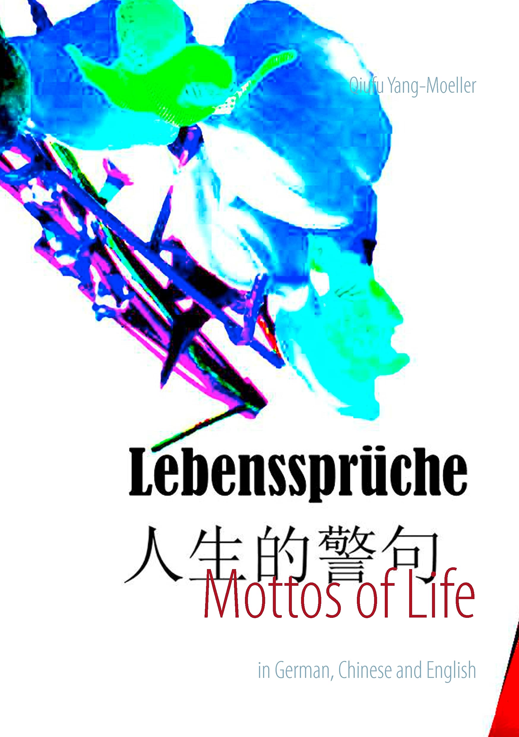 Mottos of Life: in German, Chinese and English Contemporary literature