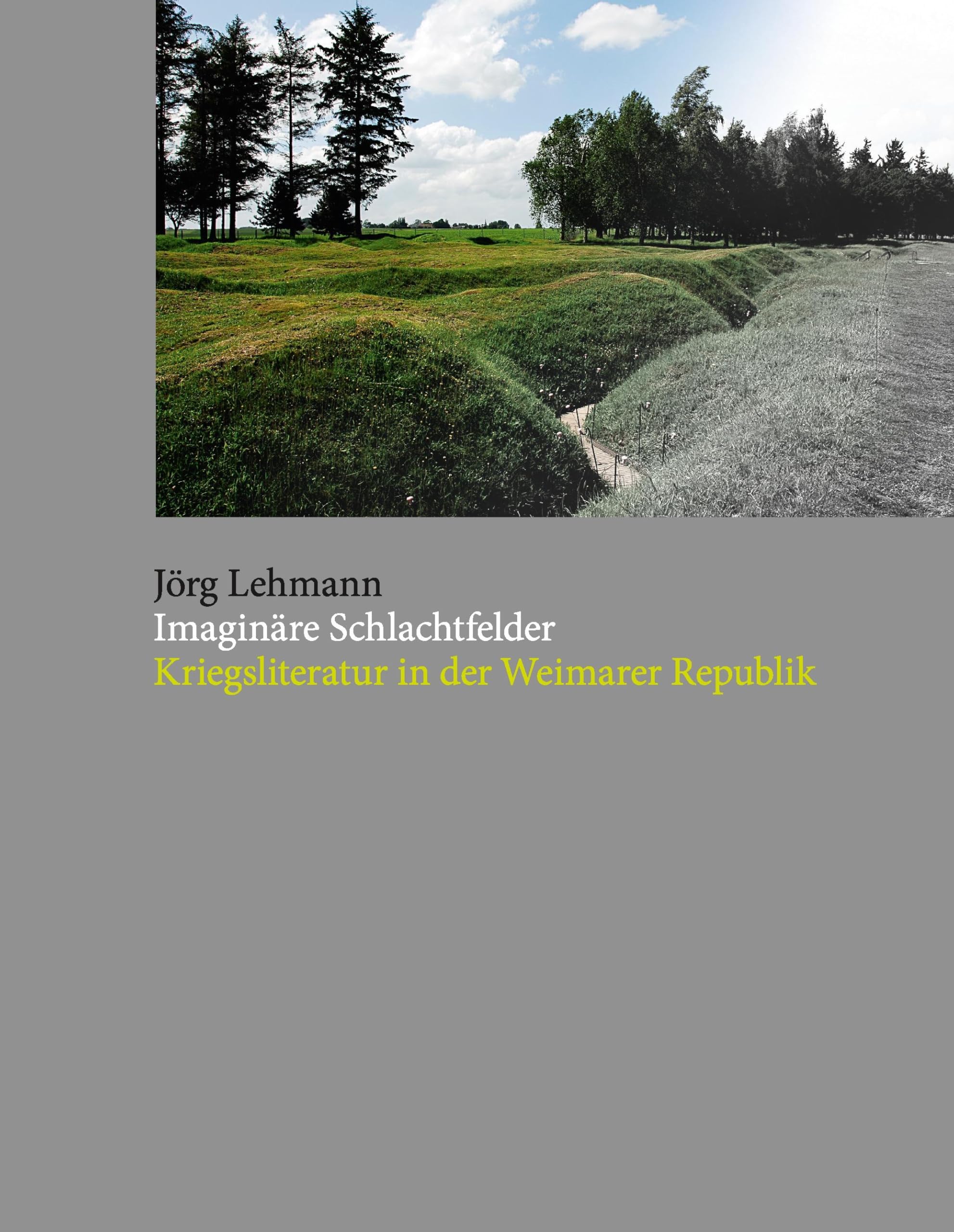 Imaginäre Schlachtfelder Contemporary literature