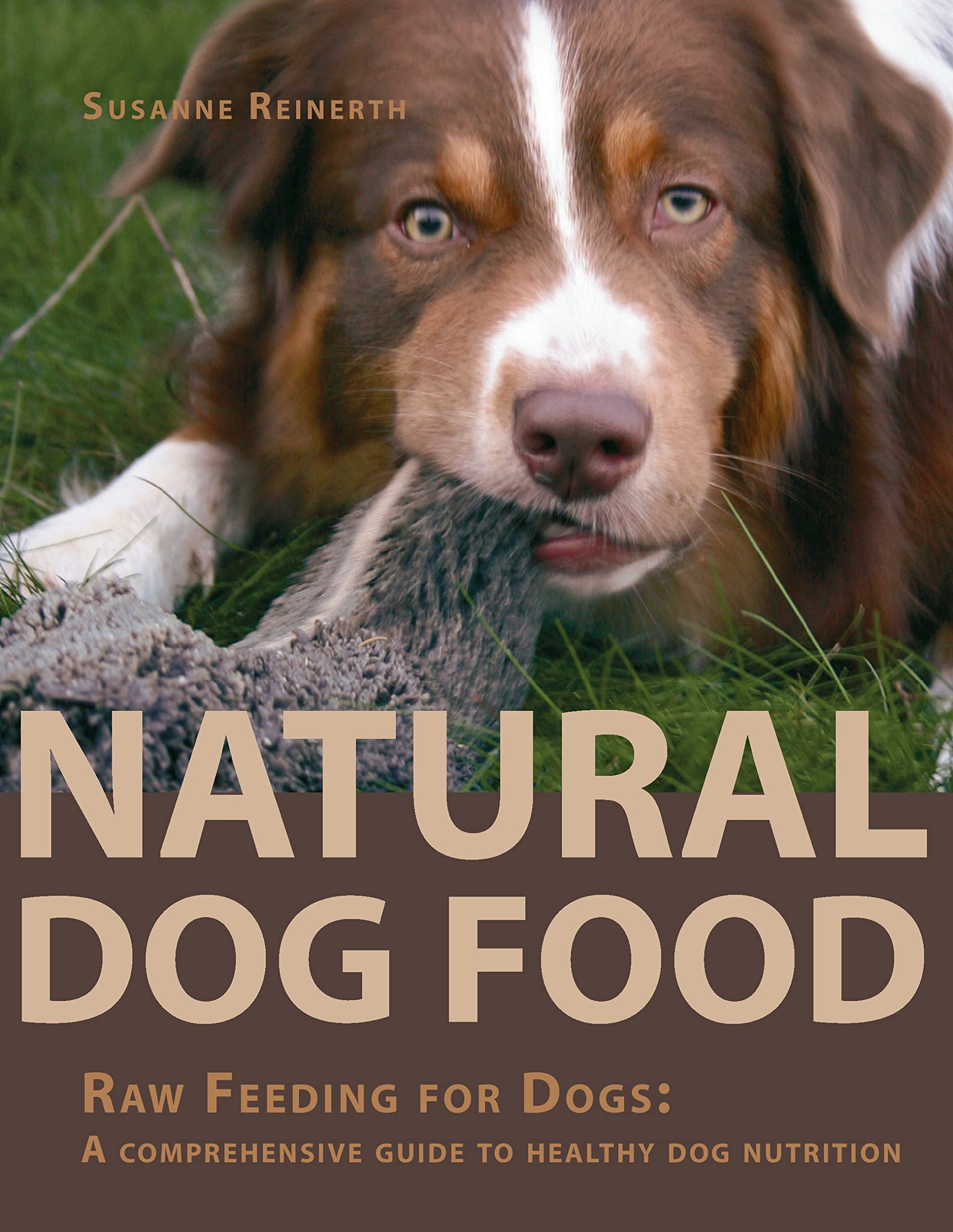 Natural Dog Food Pets