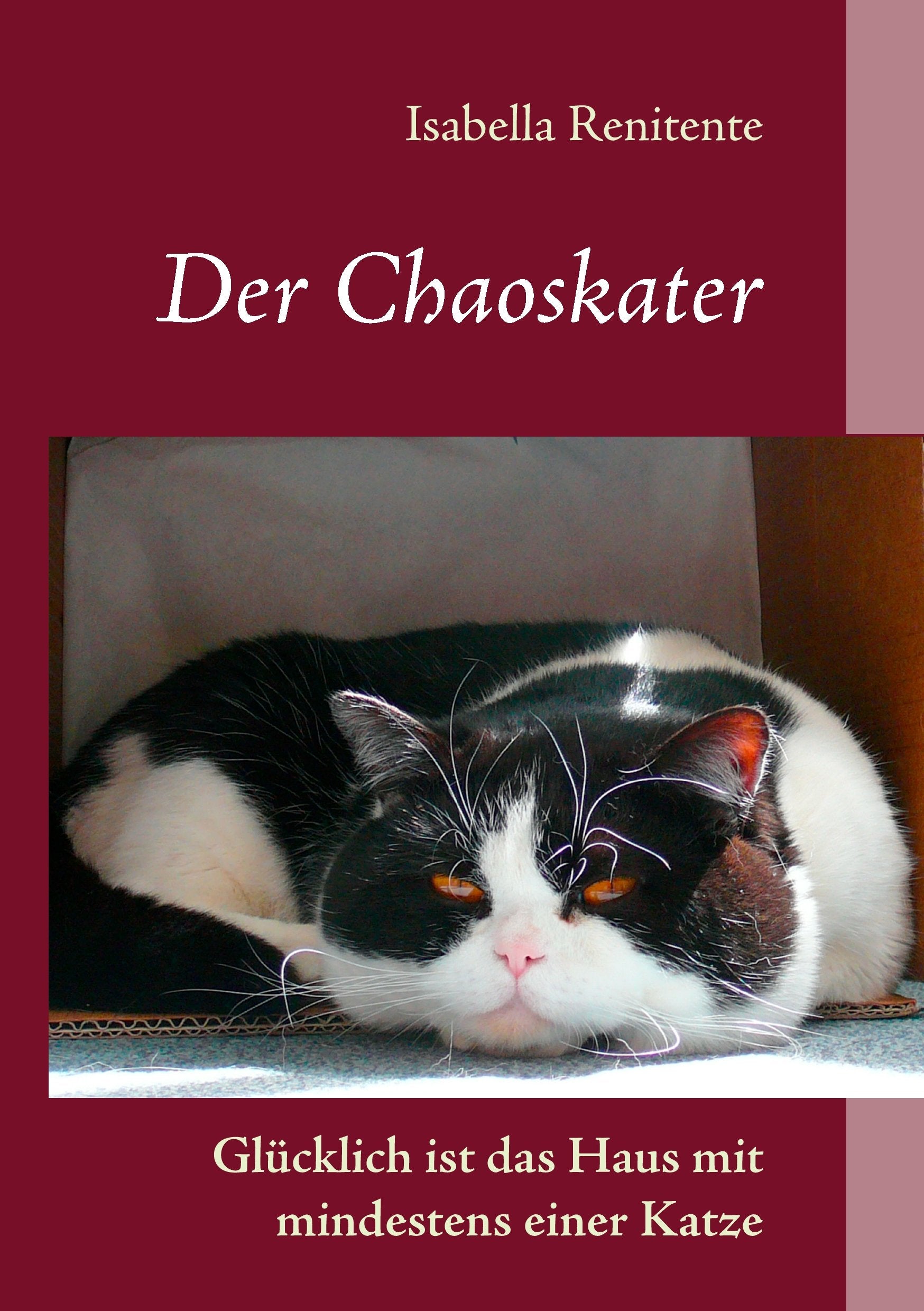 Der Chaoskater - Glücklich ist das Haus mit mindestens einer Katze Contemporary literature