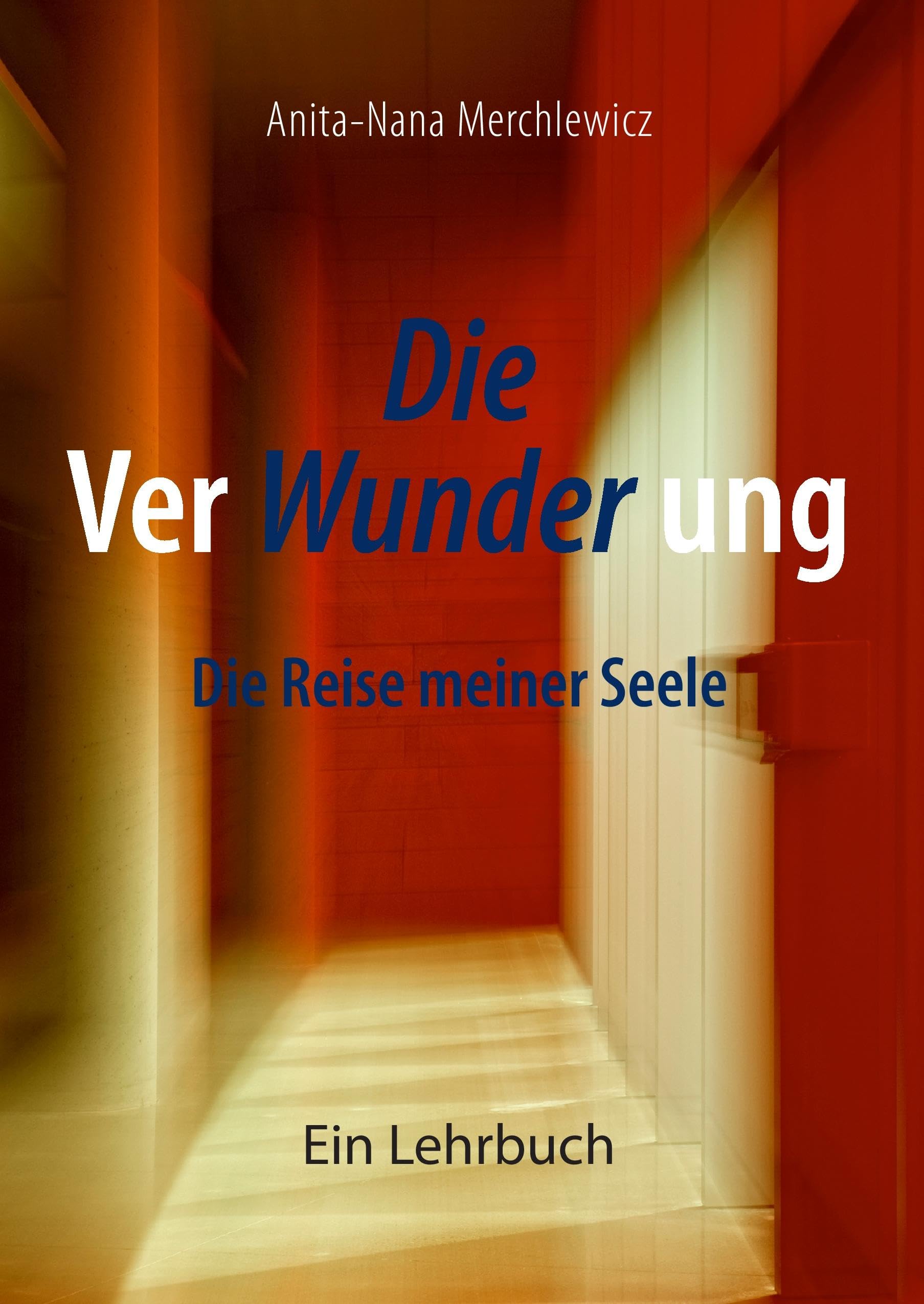 Die Verwunderung Contemporary literature