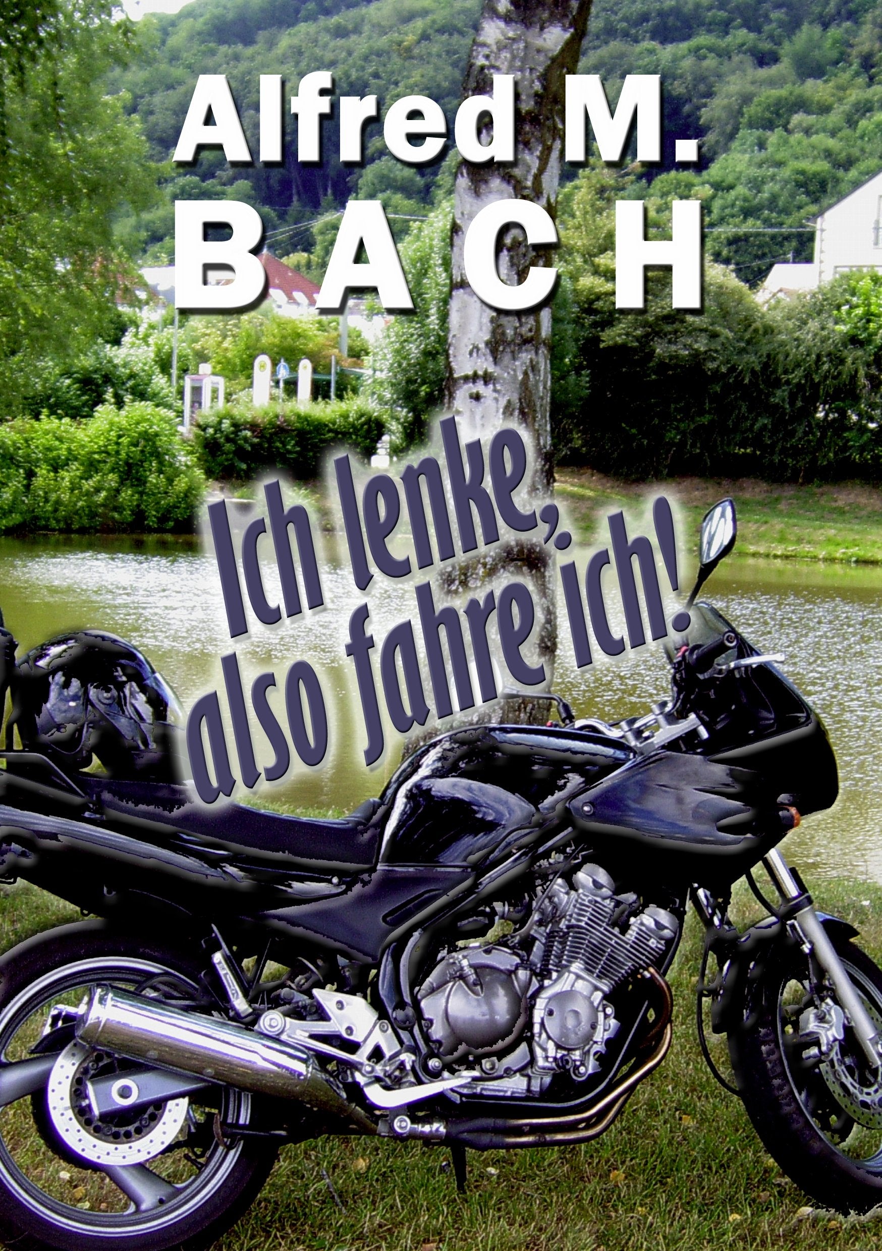 Ich lenke, also fahre ich! book