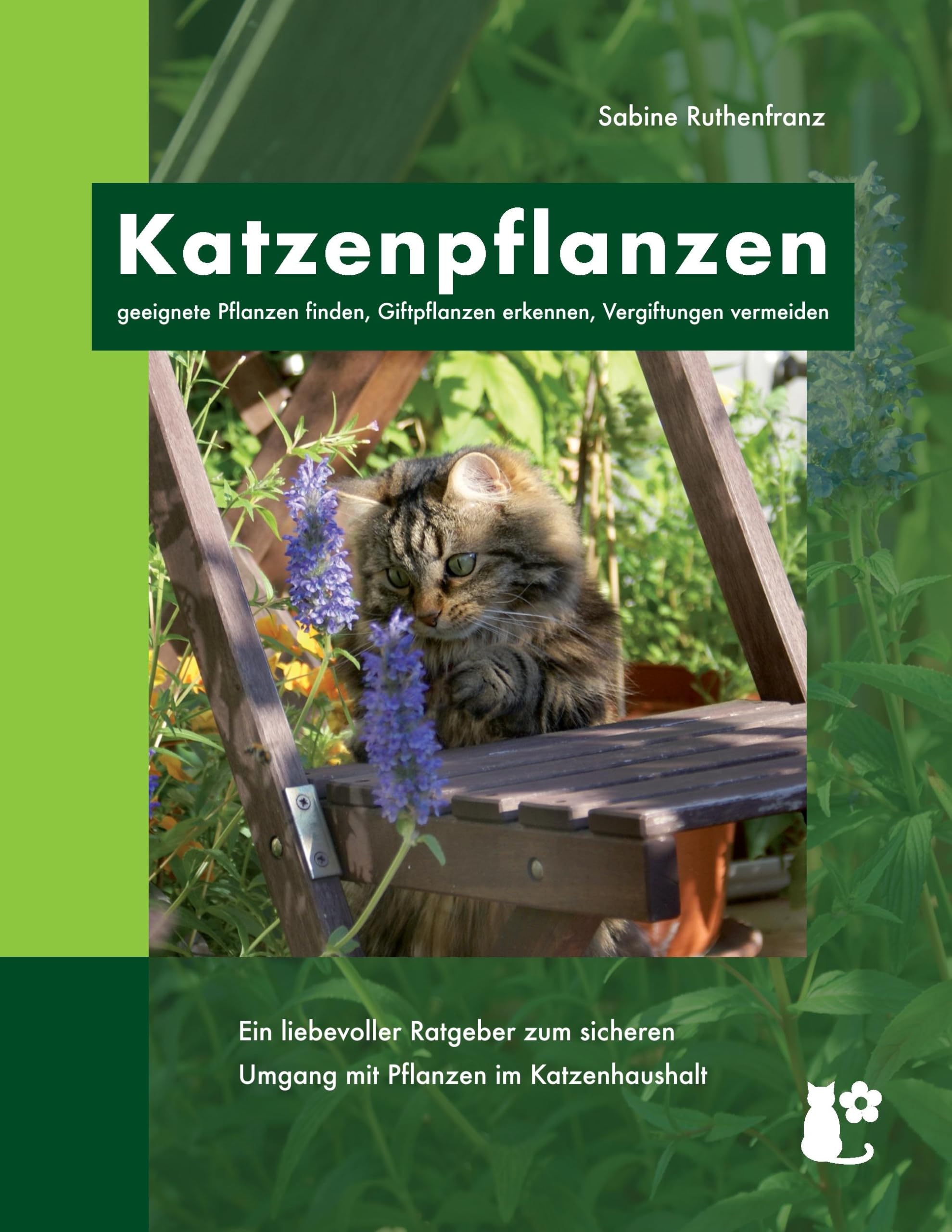 Katzenpflanzen Garden & Plants