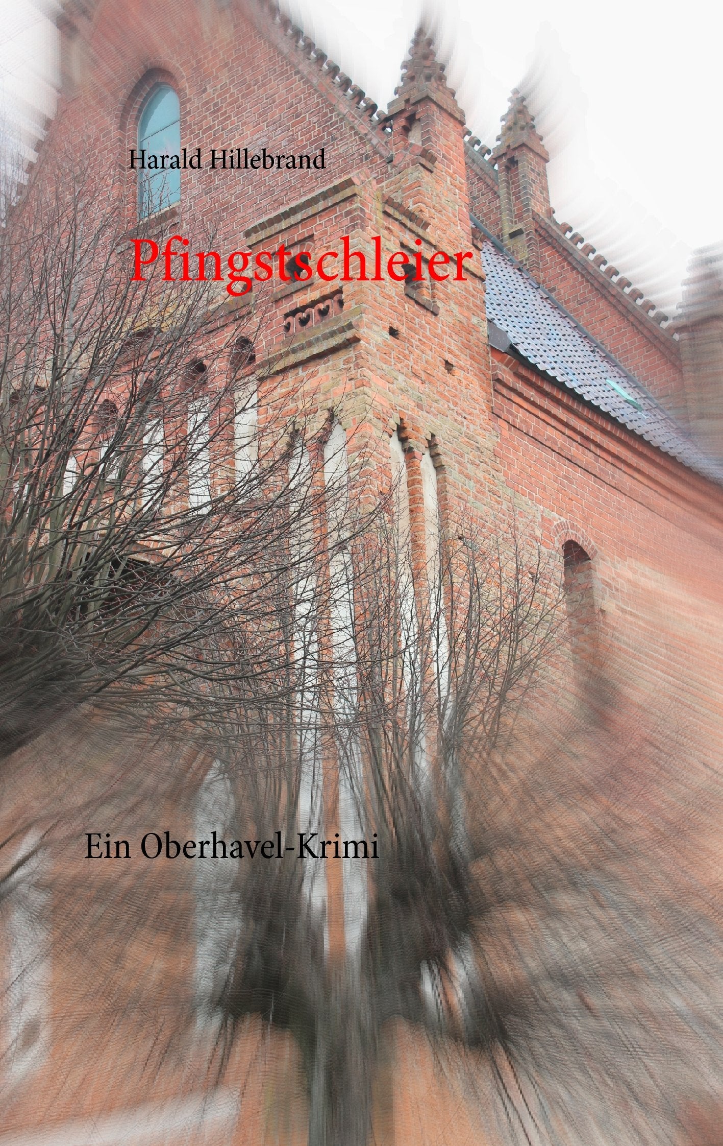 Pfingstschleier Contemporary literature Books