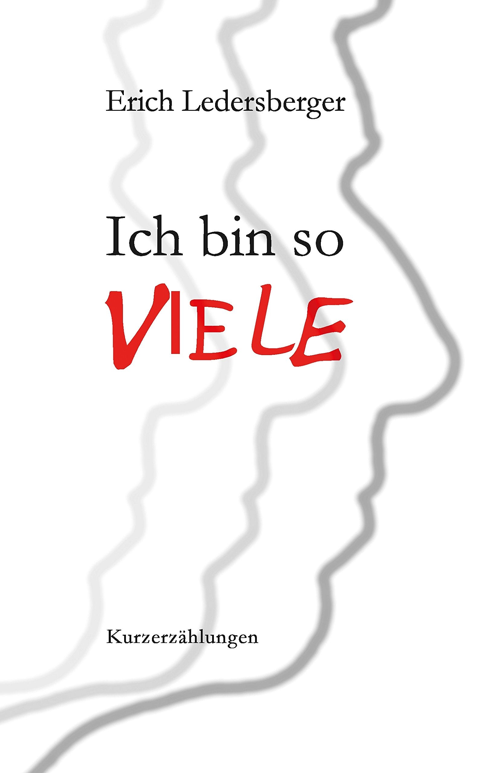 Ich bin so viele: Kurzerzählungen Contemporary literature
